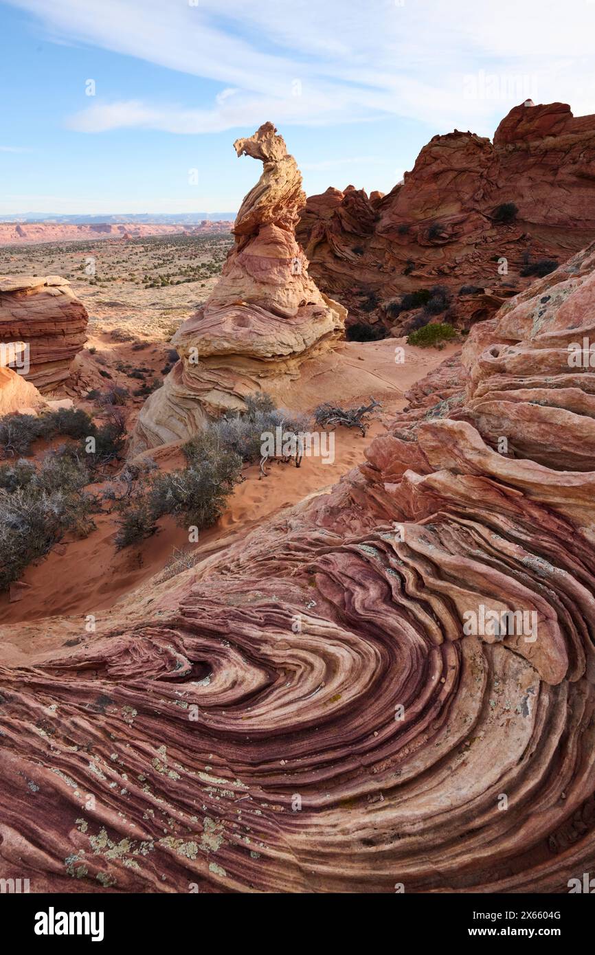 Strane e vorticose formazioni rocciose nel deserto dell'Arizona di Coy Foto Stock