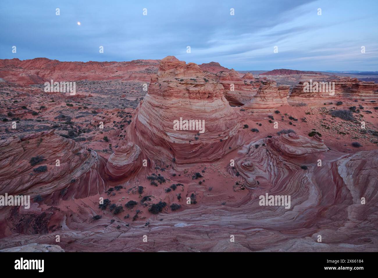 Strane e vorticose formazioni rocciose nel deserto dell'Arizona di Coy Foto Stock