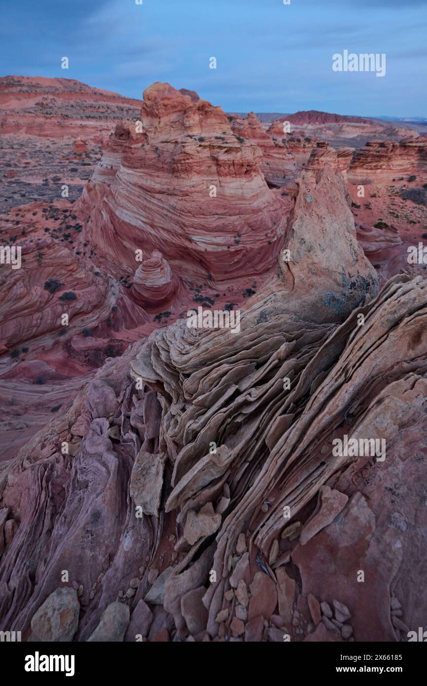 Strane e vorticose formazioni rocciose nel deserto dell'Arizona di Coy Foto Stock