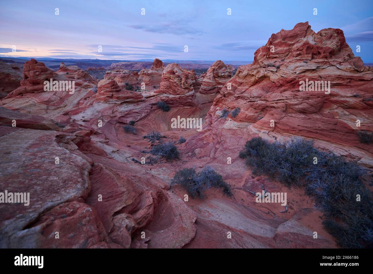 Strane e vorticose formazioni rocciose nel deserto dell'Arizona di Coy Foto Stock