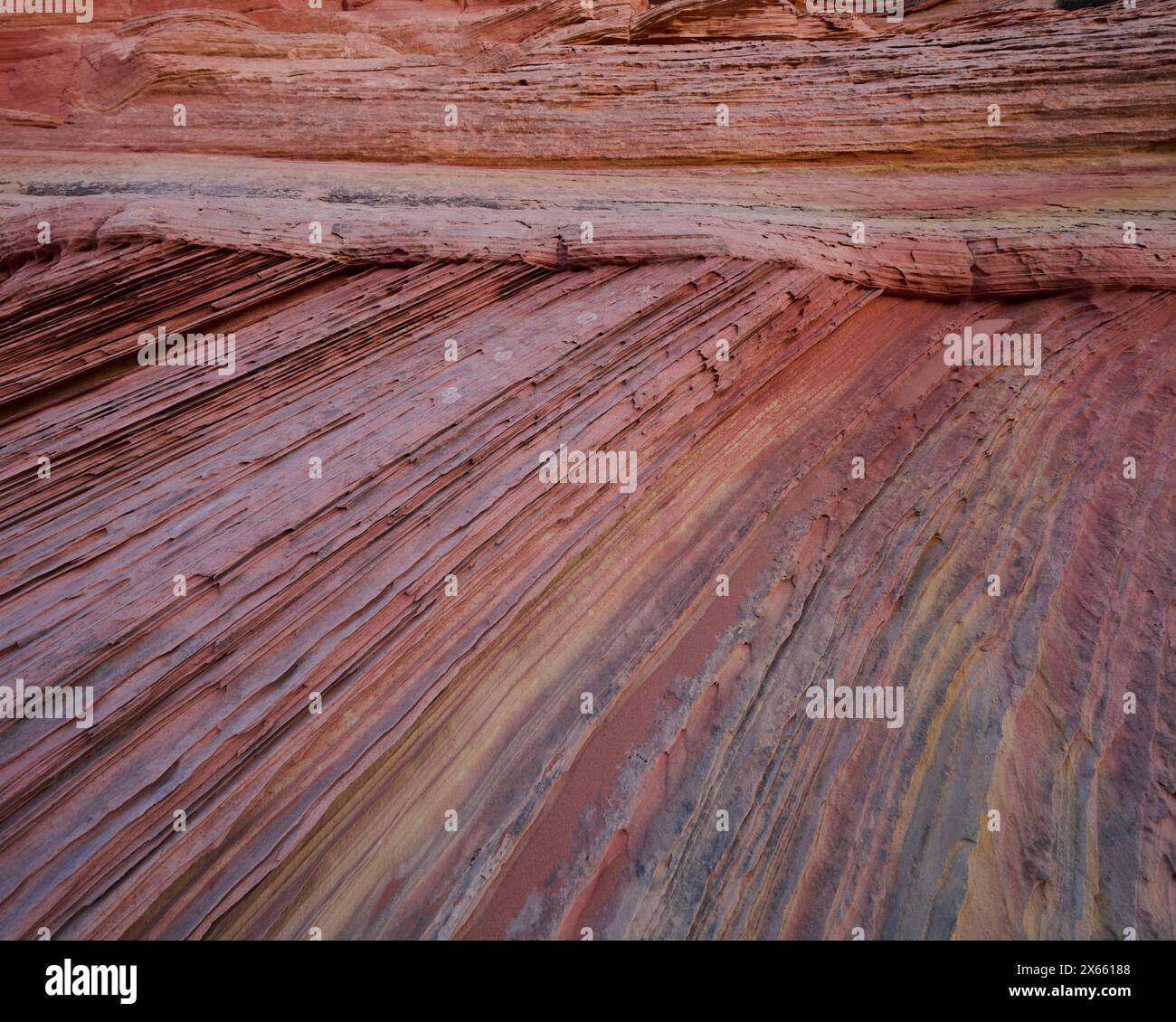 L'arenaria crea forme e design meravigliosi, somiglianti all'abs Foto Stock