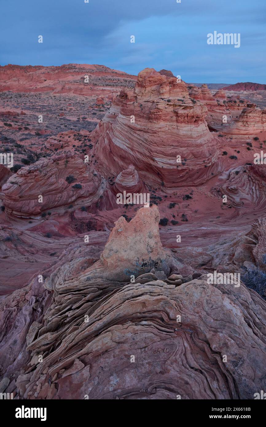 Strane e vorticose formazioni rocciose nel deserto dell'Arizona di Coy Foto Stock