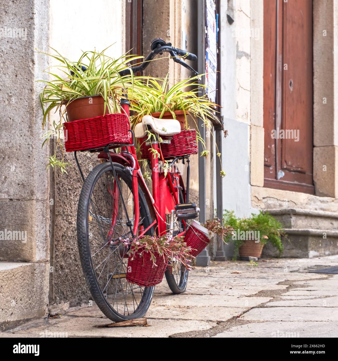 rotes Fahrrad mit Pflanzen Foto Stock