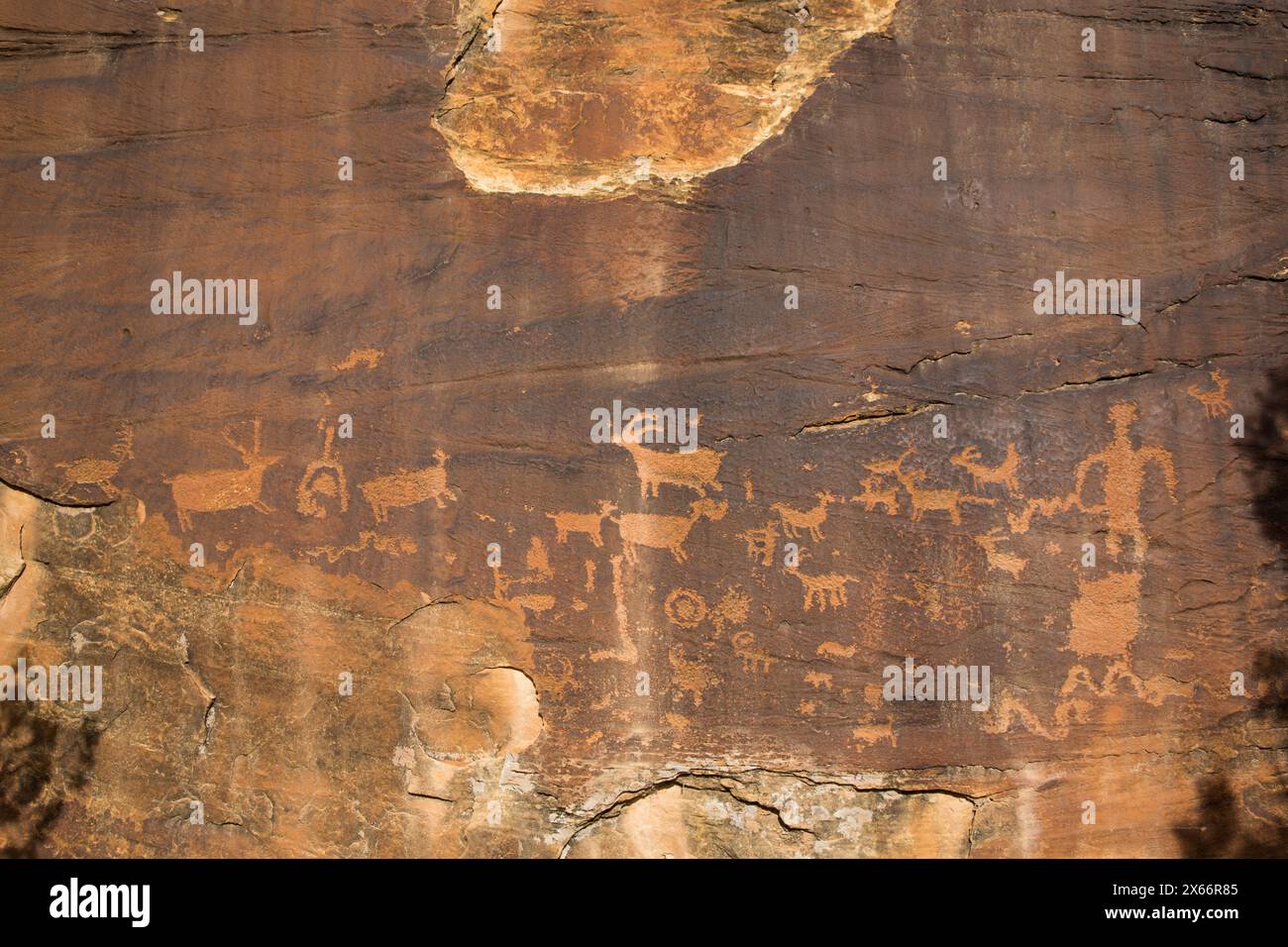 Petroglifi Anasazi, Shay Canyon dello Utah, Stati Uniti d'America Foto Stock