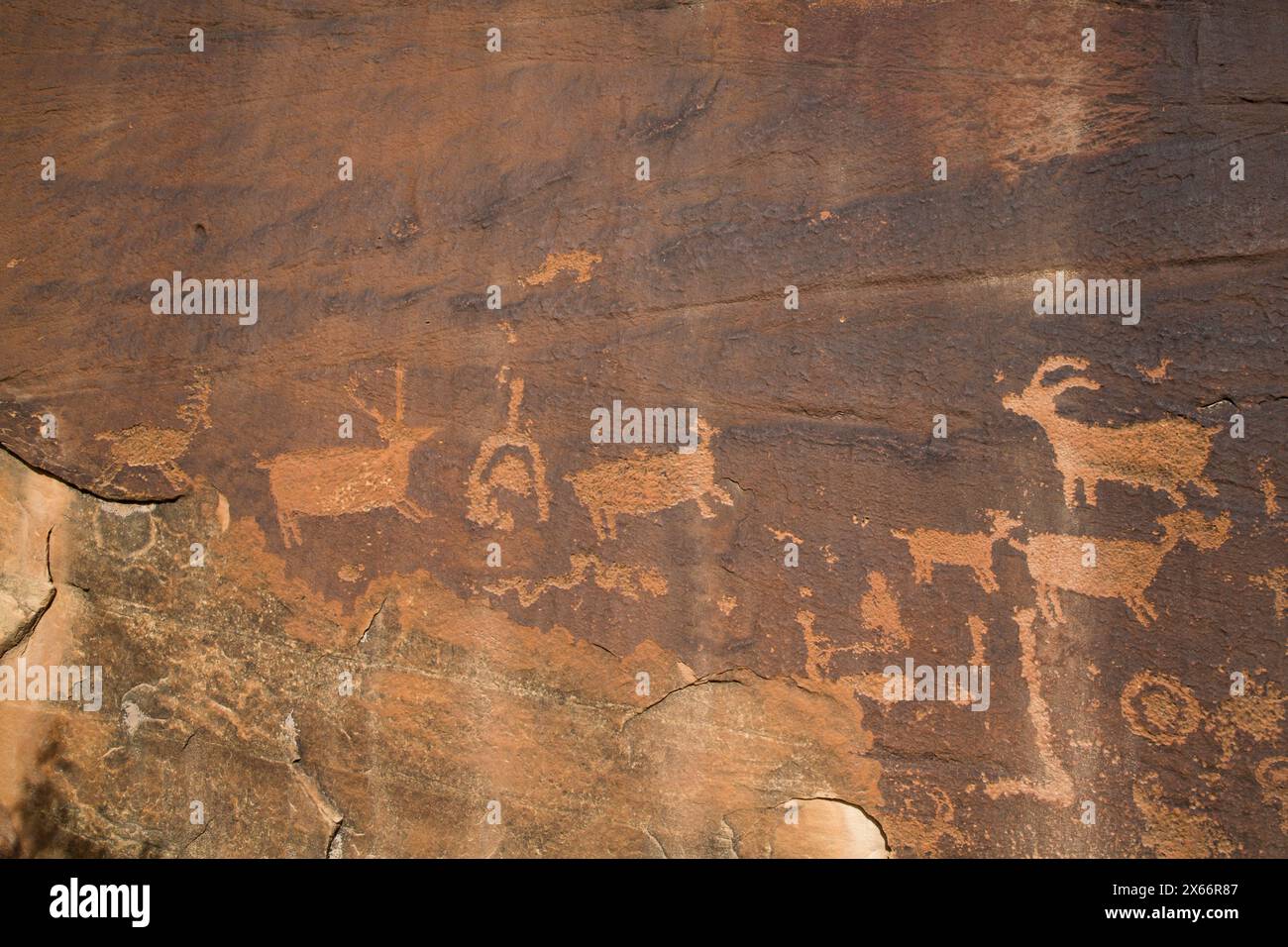 Petroglifi Anasazi, Shay Canyon dello Utah, Stati Uniti d'America Foto Stock