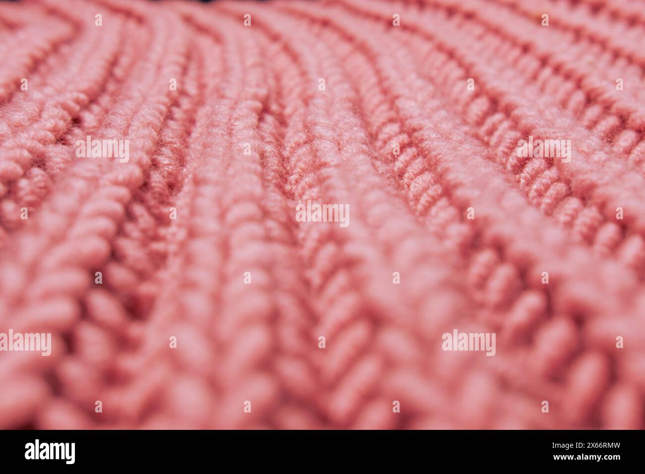 splendida treccia rosa con filato di lana naturale chiaro, trama a maglia, oggetti caldi per le basse temperature, hobby per maglieria, ricamo, fa Foto Stock