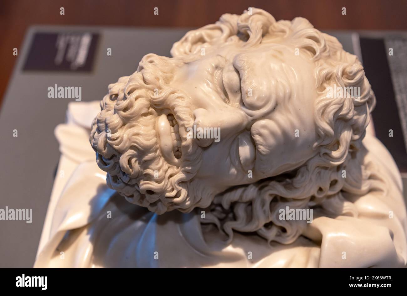 Primo piano su una testa pelosa maschile scolpita in marmo Foto Stock