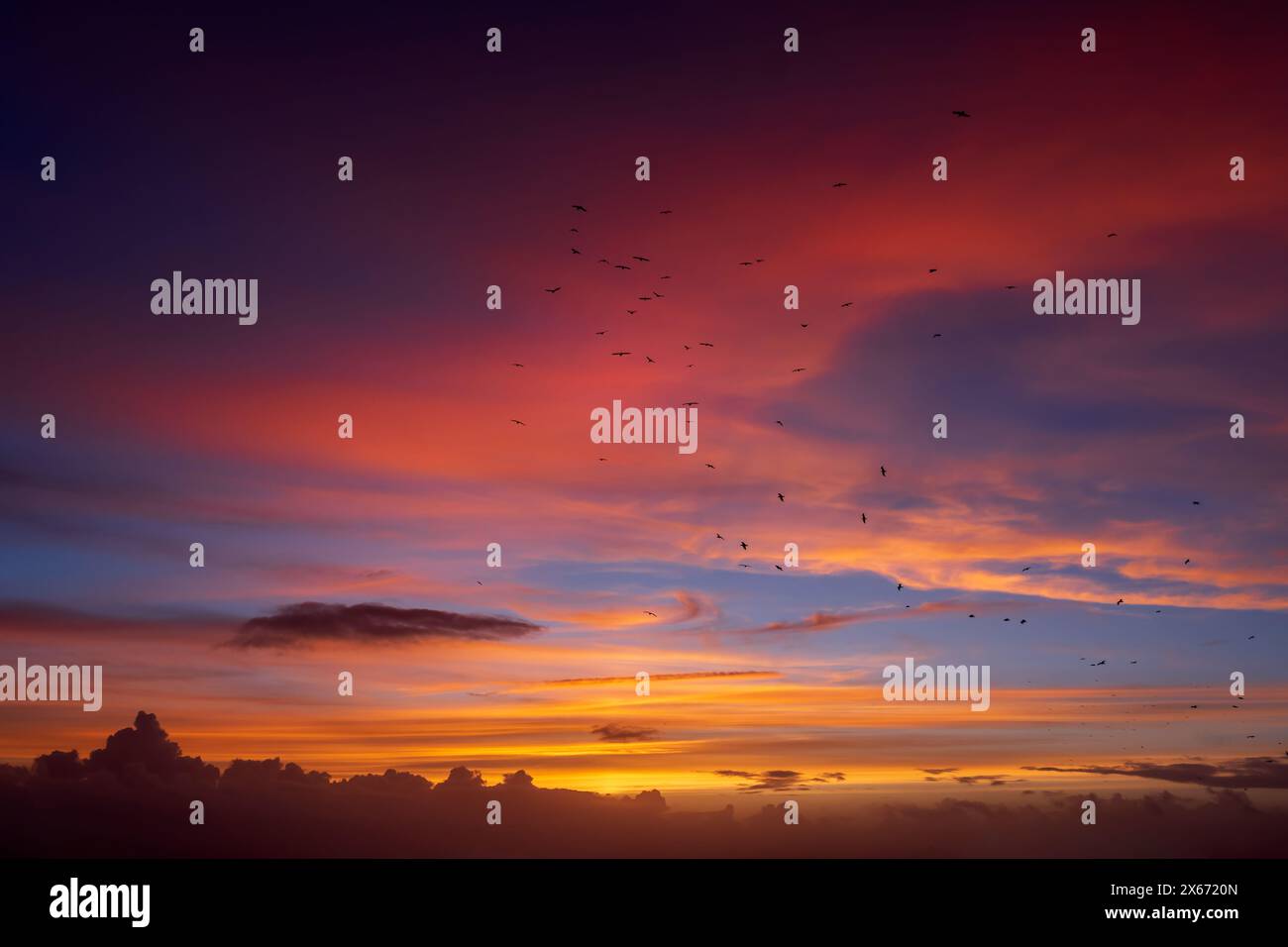 Tramonto nel cielo bellissimo paesaggio nuvoloso con colori caldi e stormo di uccelli nell'aria, sfondo naturale illuminato dal sole. Foto Stock