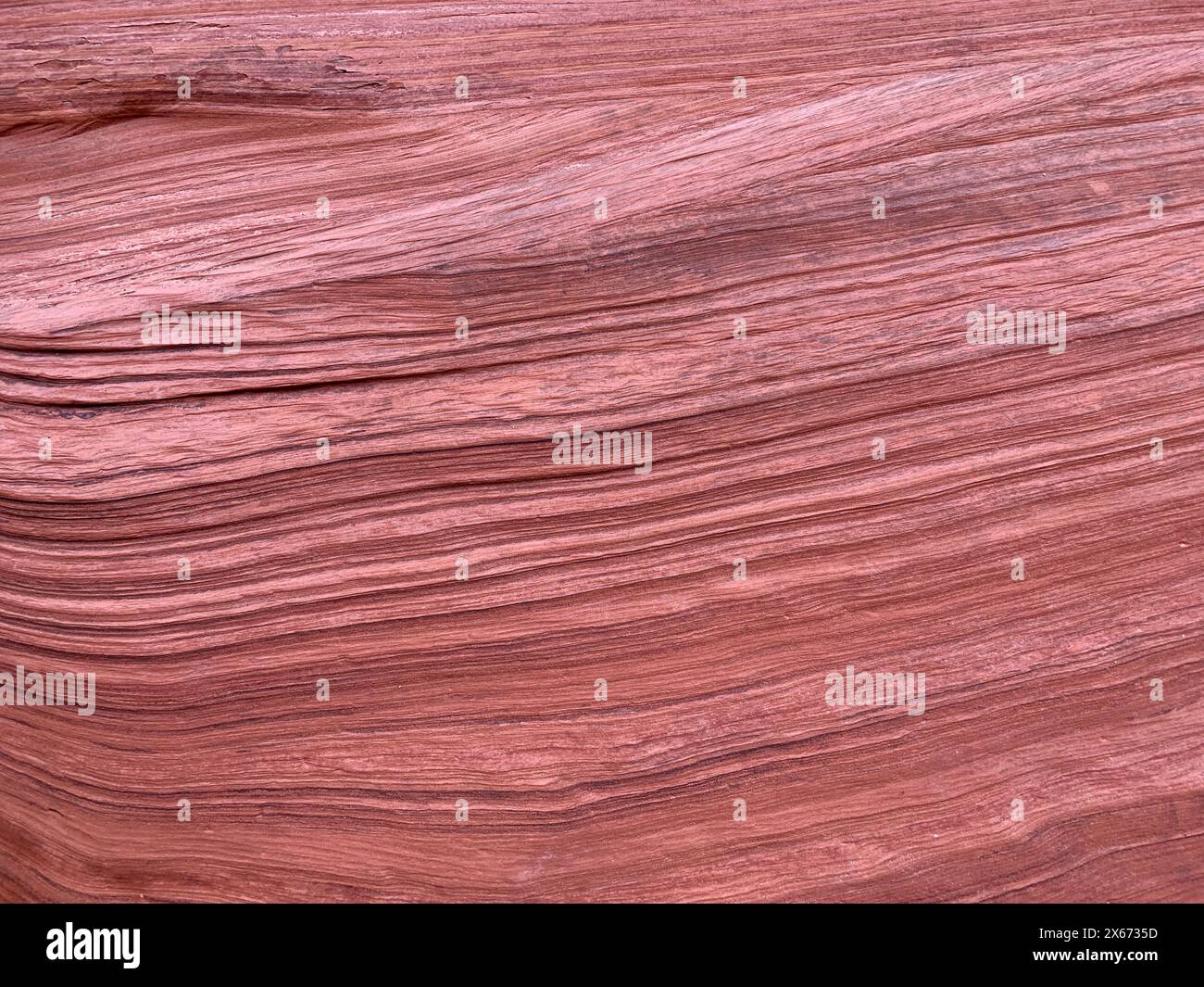 Il primo piano delle pareti di arenaria nell'Antelope Canyon mostra le caratteristiche geologiche erose e scolpite formatesi nella roccia da migliaia di anni di inondazioni Foto Stock