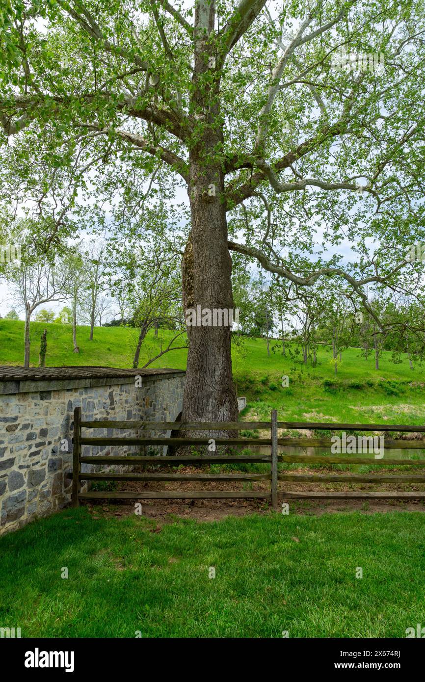 Ponte in pietra e recinzione in legno Foto Stock