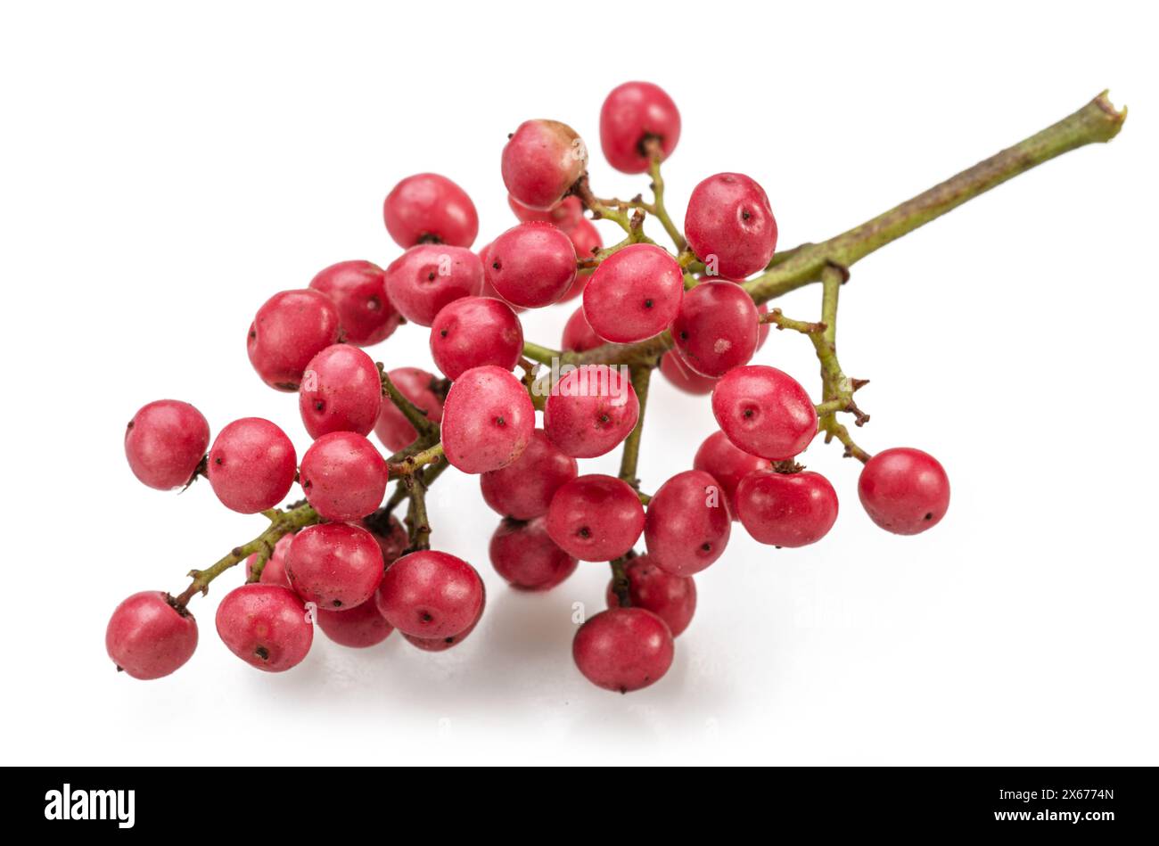 Grani di pepe rosa freschi su ramo isolati su sfondo bianco. Foto Stock