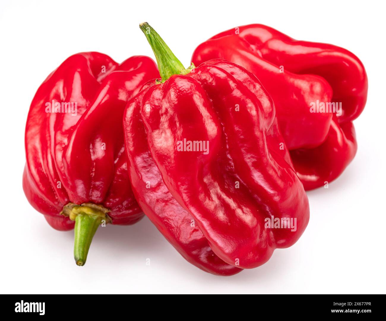 Peperoni habanero rossi isolati su sfondo bianco. Foto Stock
