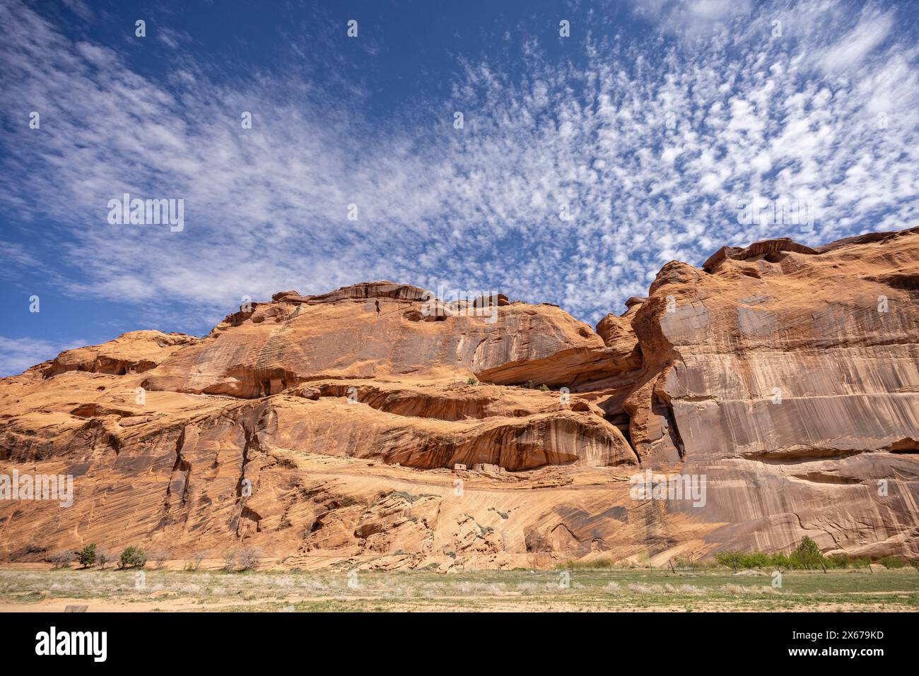 Antica scogliera Puebloan che abita nella parete di arenaria nel Canyon de Chelly National Monument, Arizone, USA il 19 aprile 2024 Foto Stock