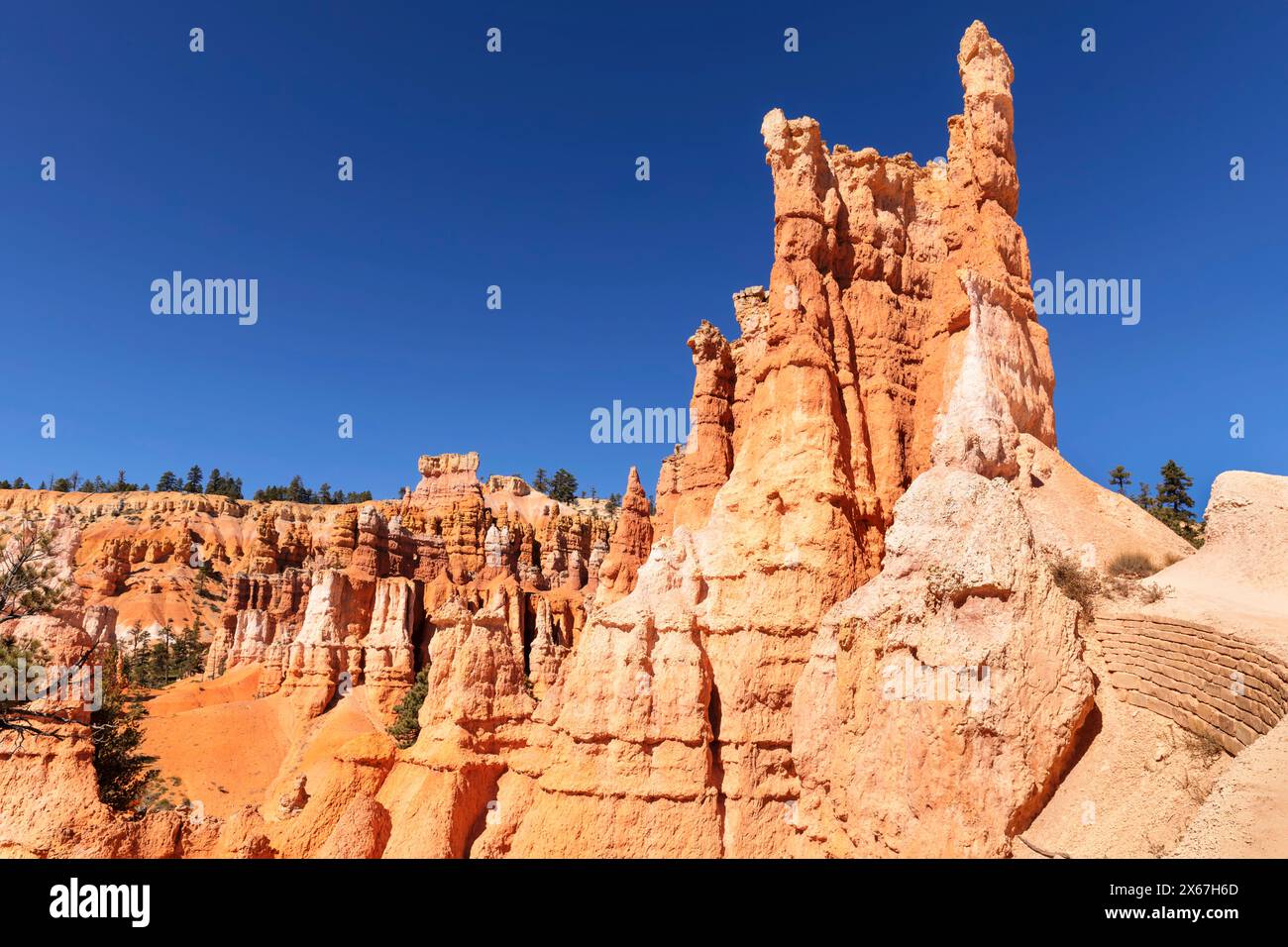 Bryce Canyon, Bryce Canyon National Park, Colorado Plateau, Utah, Stati Uniti, Stati Uniti Foto Stock
