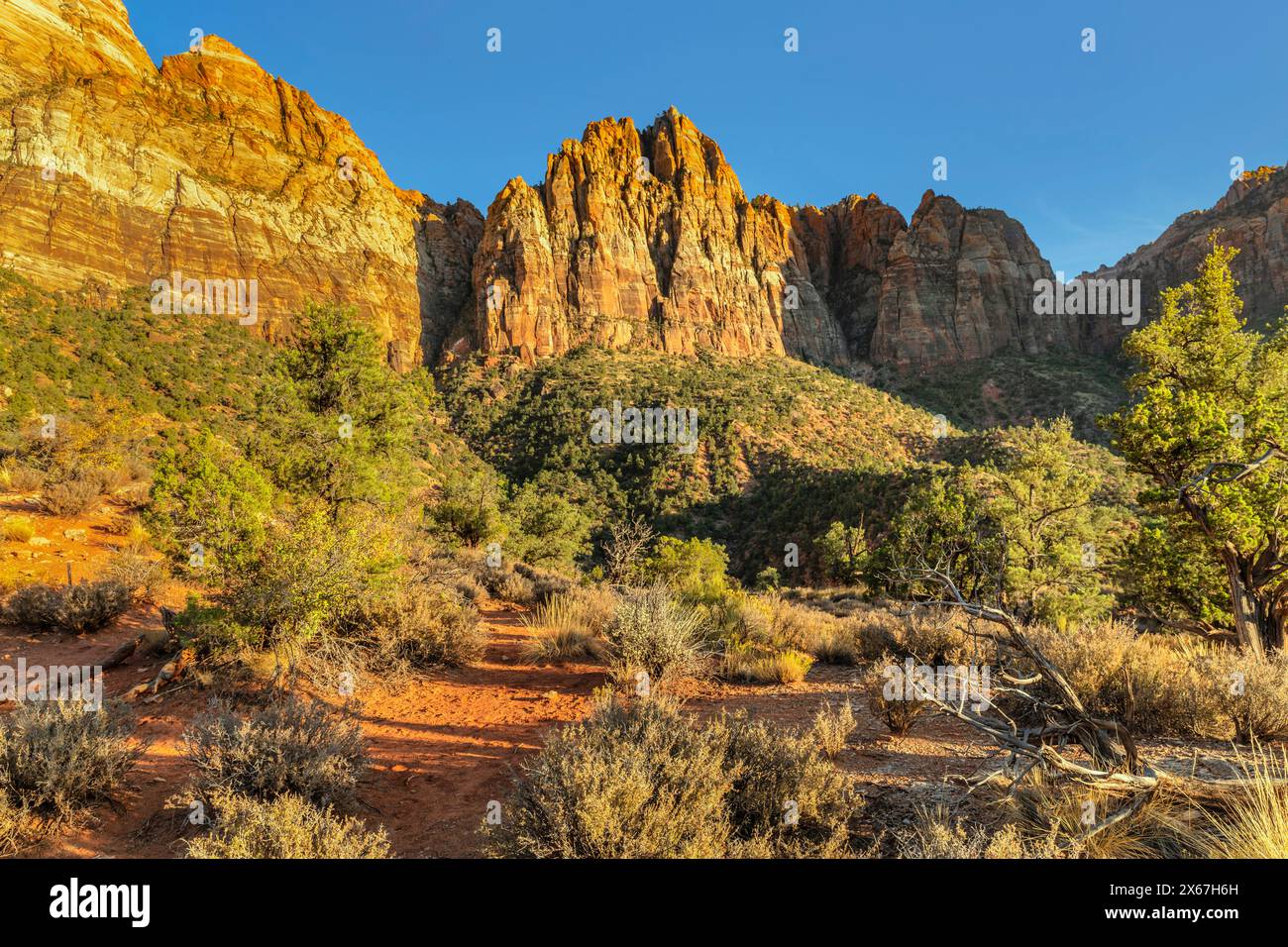 Watchman Mountain, Zion National Park, Colorado Plateau, Utah, Stati Uniti Foto Stock