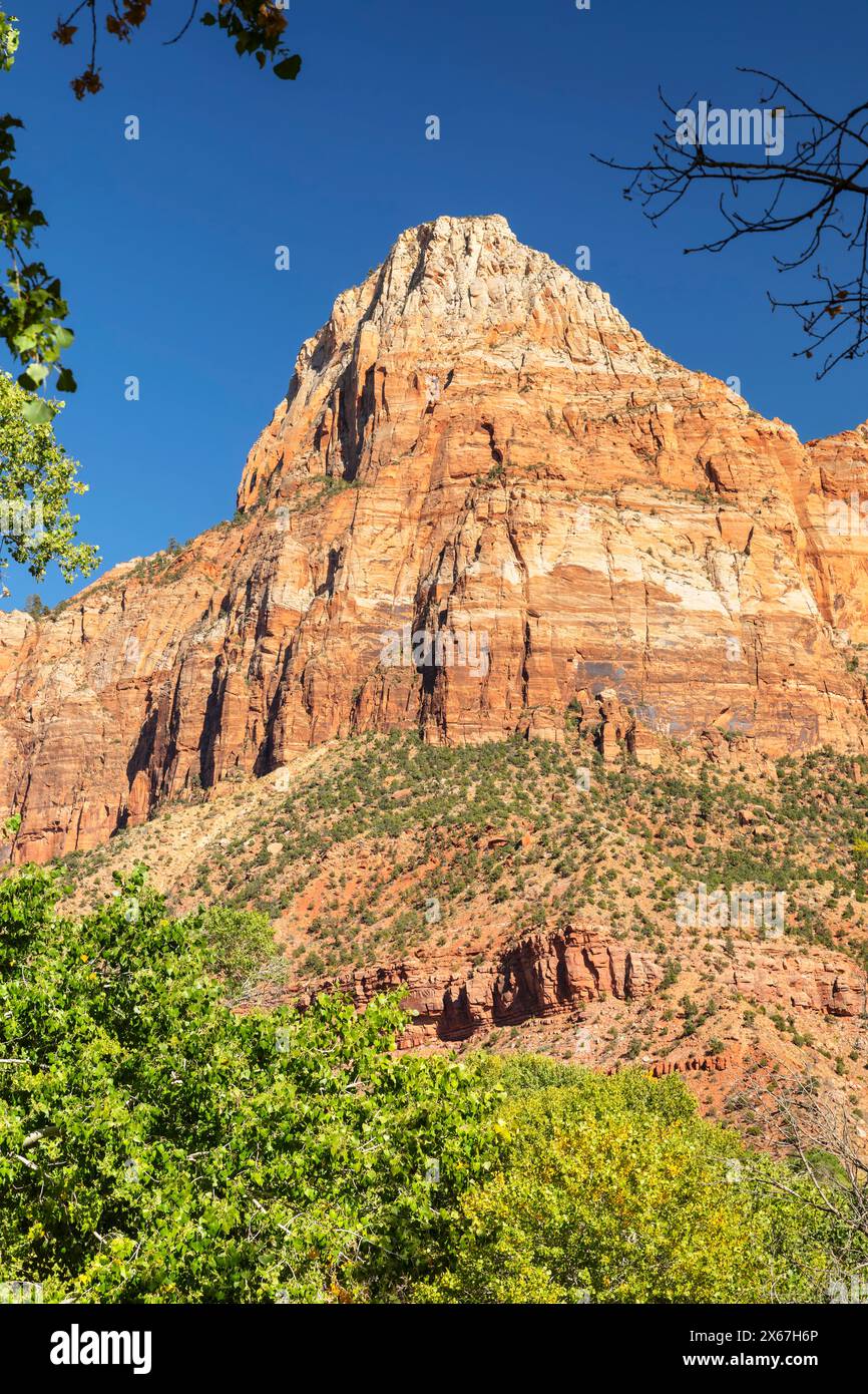 Watchman Mountain, Zion National Park, Colorado Plateau, Utah, Stati Uniti Foto Stock