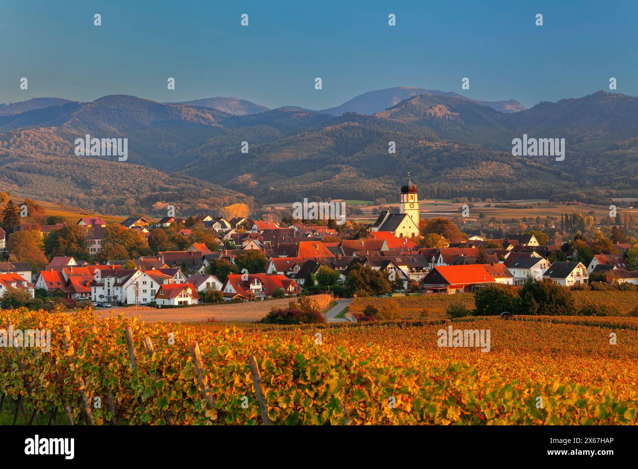 Vista da Ehrenkirchen alla Foresta Nera, Markgräfler Land, Baden-Württemberg, Germania Foto Stock