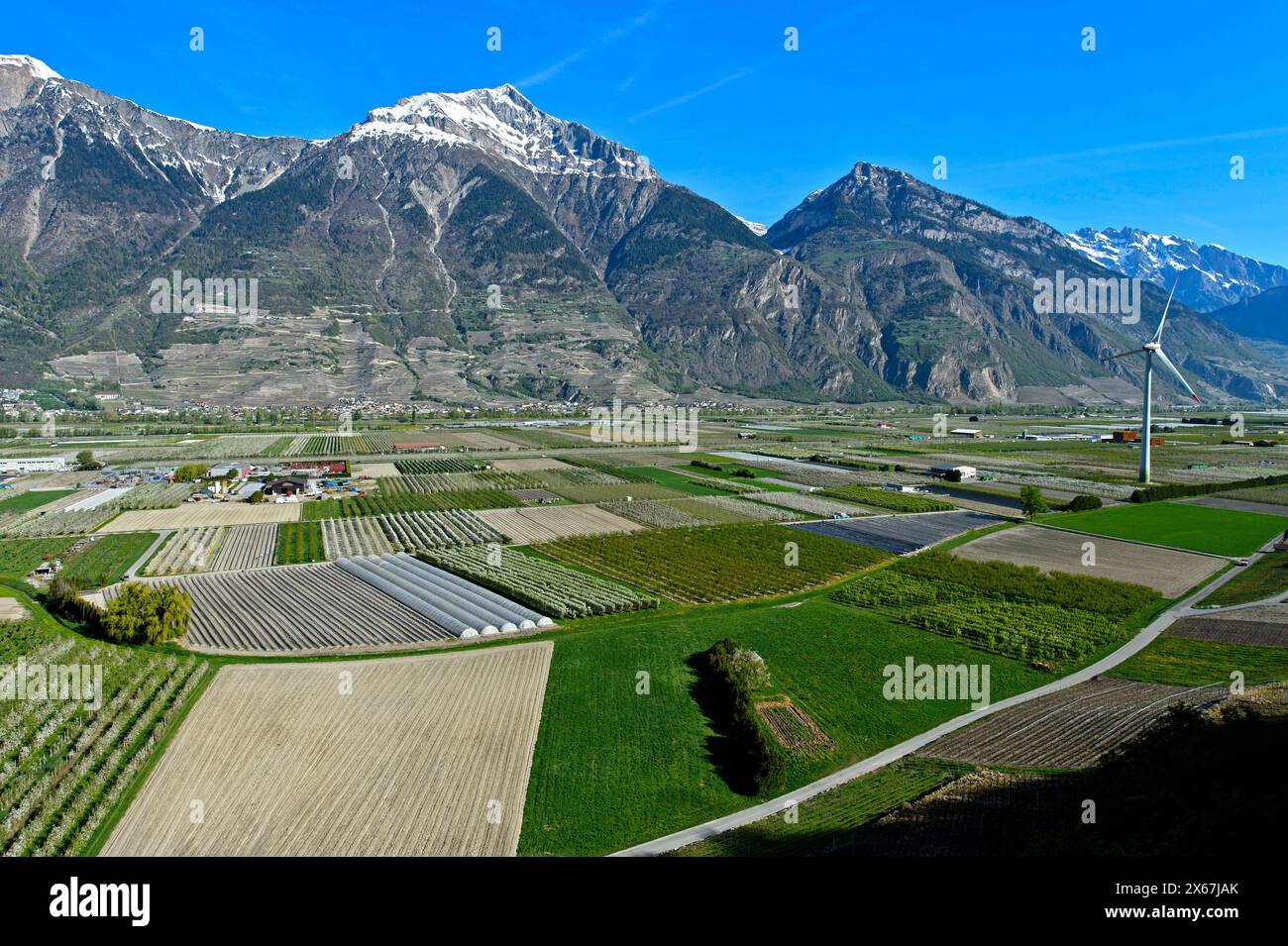 Campi e piantagioni per la coltivazione di frutta e verdura sotto la cima innevata del Grand Chavalard nella valle del Rodano, Charrat, Vallese, Svizzera Foto Stock