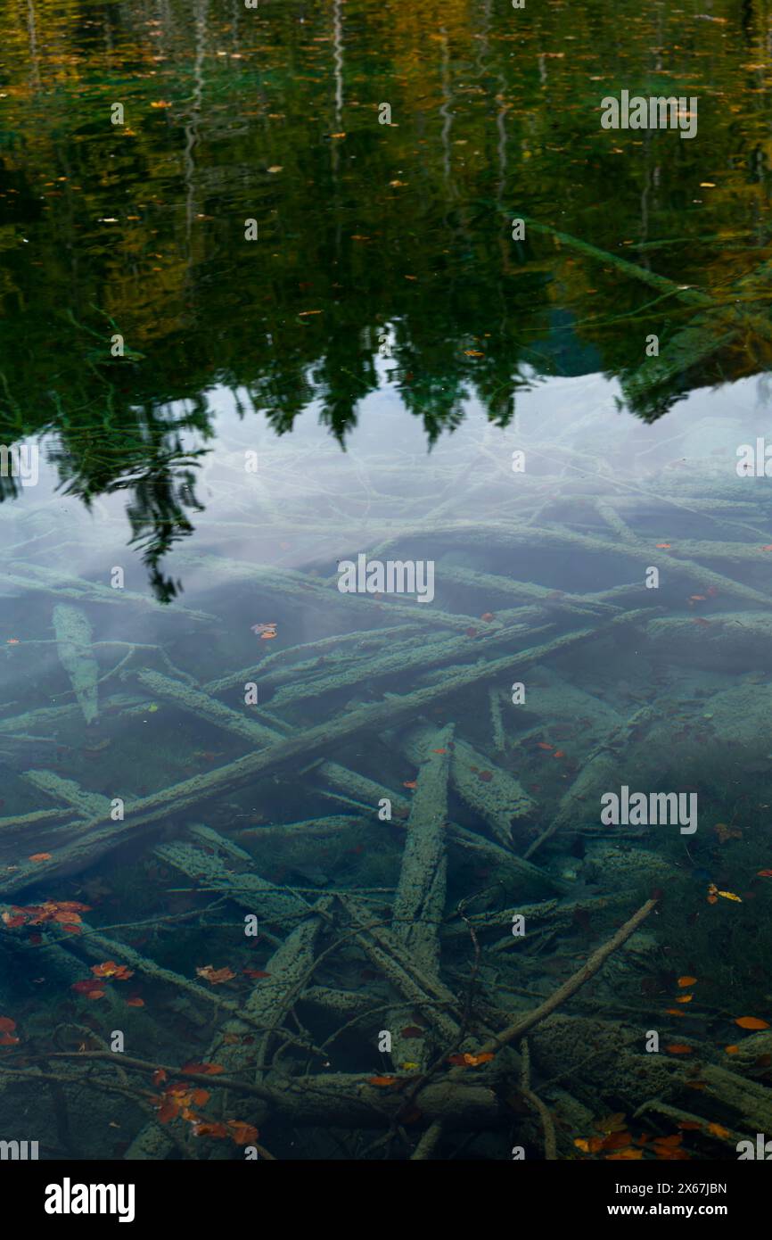 Badersee vicino a Grainau, il bosco morto si trova sul fondo del lago, nelle Alpi bavaresi vicino a Garmisch-Patenkirchen, Germania, Baviera Foto Stock