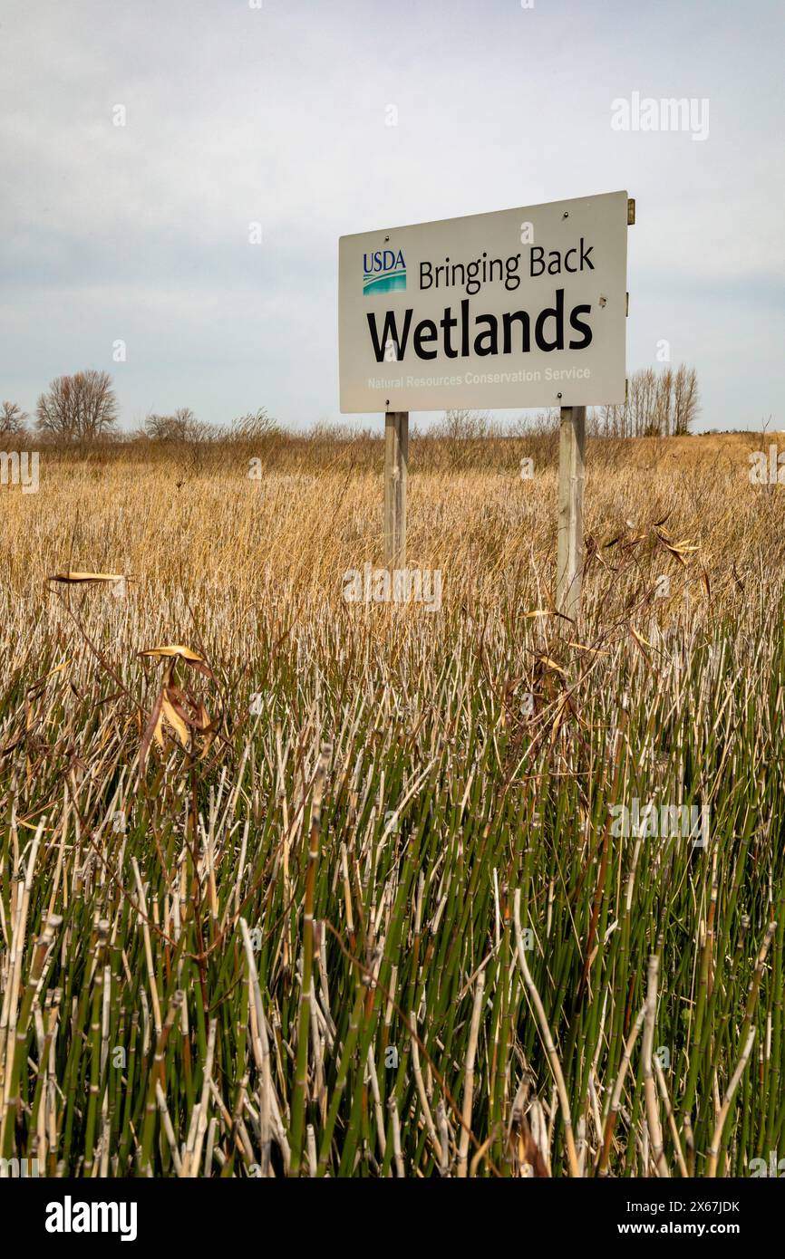 Fort Dodge, Iowa - Whispering Wings Marsh, un'area protetta dell'habitat delle zone umide dove si possono cacciare fagiani e anatre. Foto Stock
