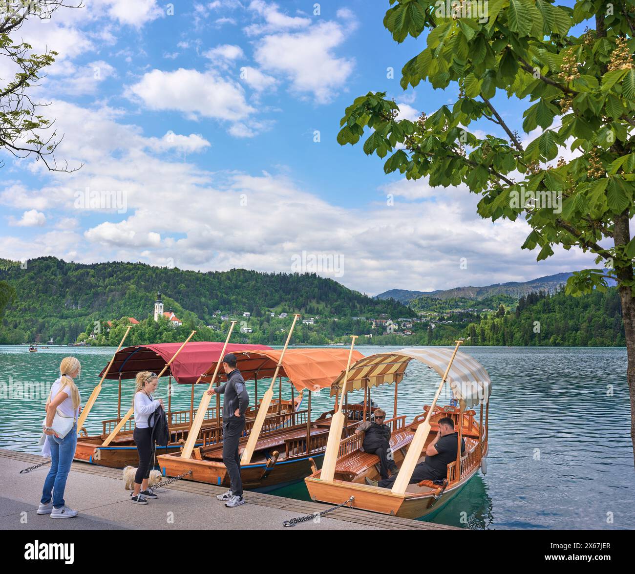 Oarsman, accanto alle barche pletna, negozia con i turisti che desiderano un viaggio sull'isola sul lago di Bled, Alpi Giulie, Slovenia. Foto Stock