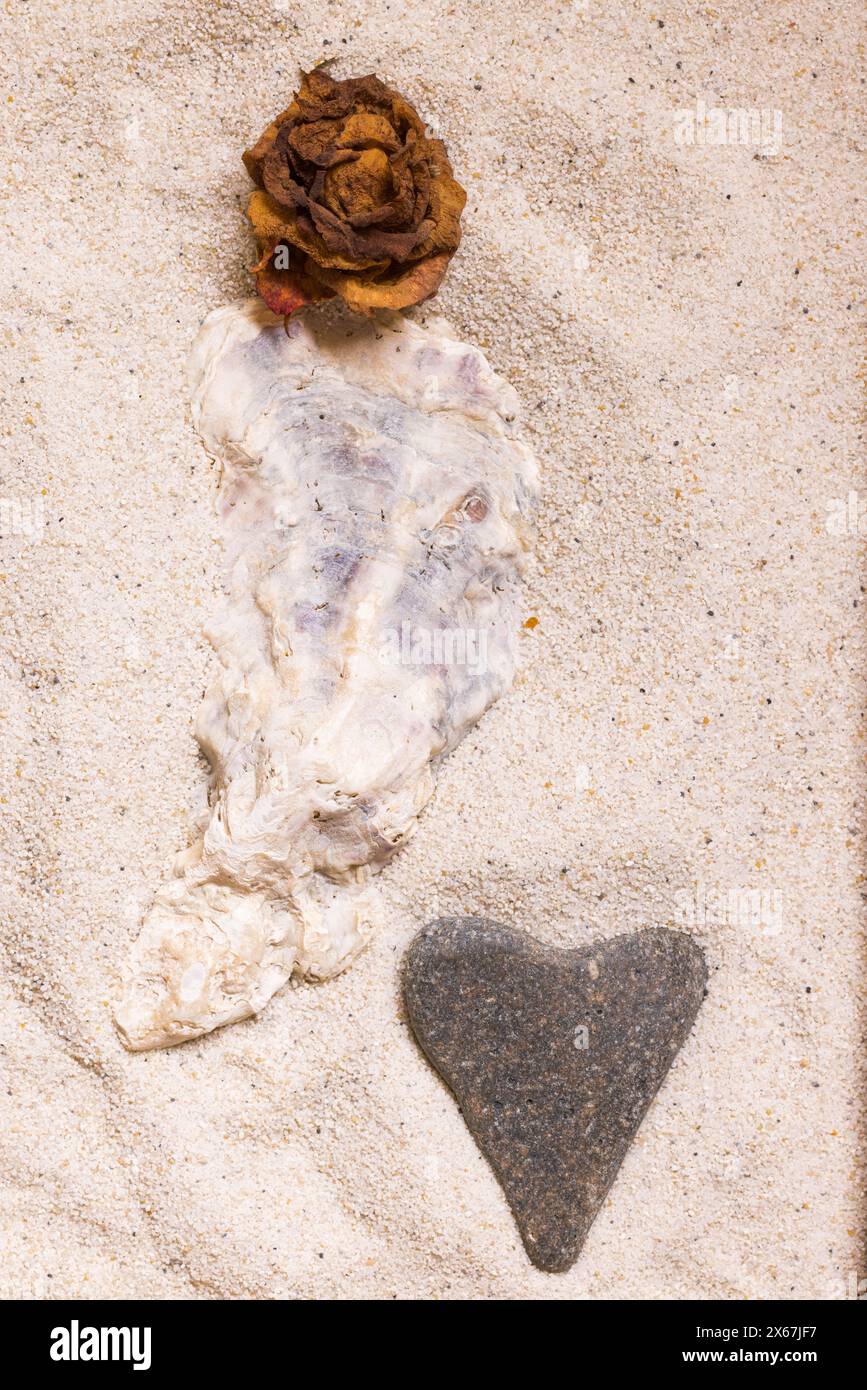 Natura morta di flotsam e jetsam, conchiglie, pietra a forma di cuore e rosa secca Foto Stock