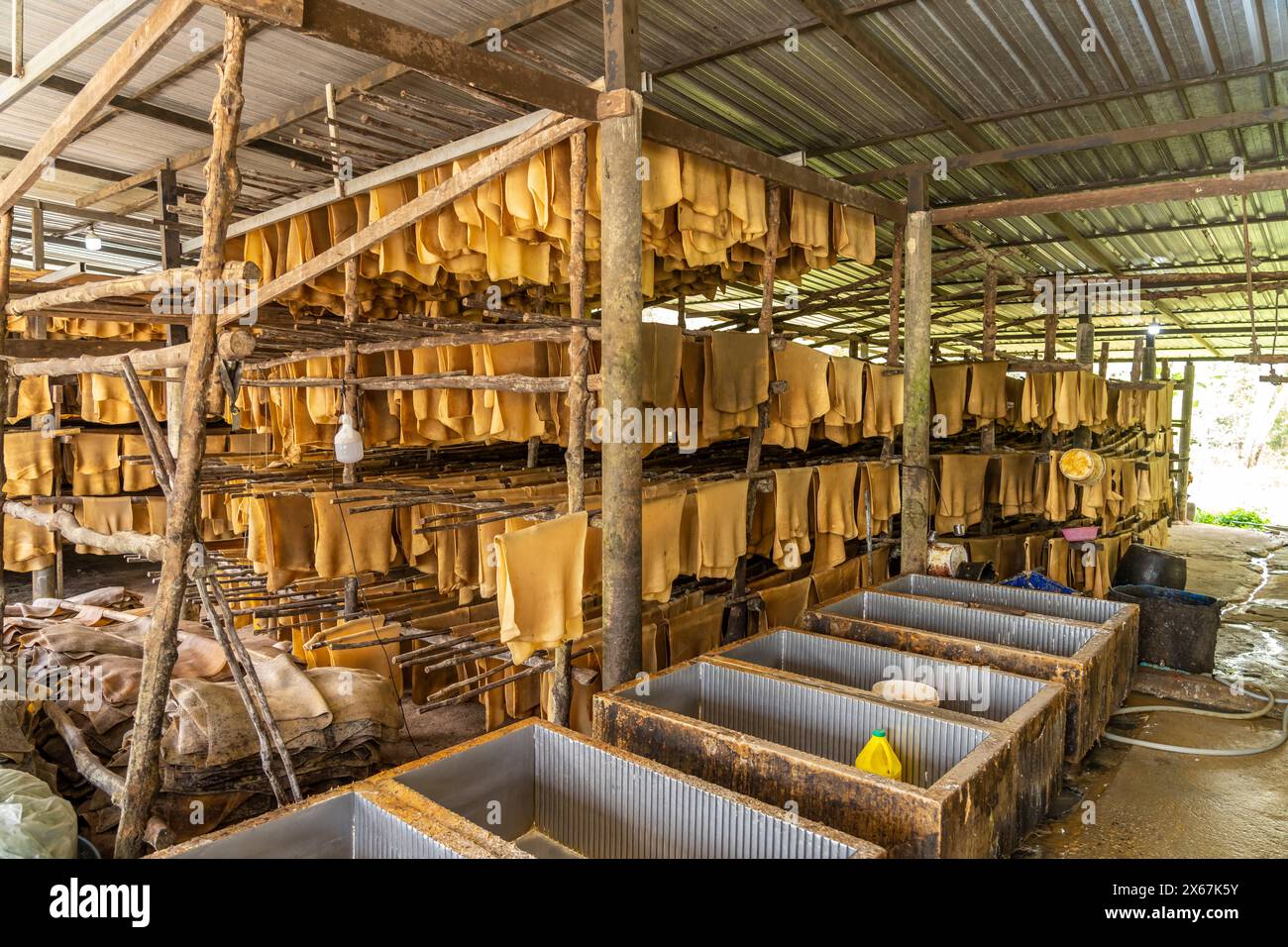 Produzione di gomma sull'isola di Koh Libong nel Mare delle Andamane, Thailandia, Asia Foto Stock