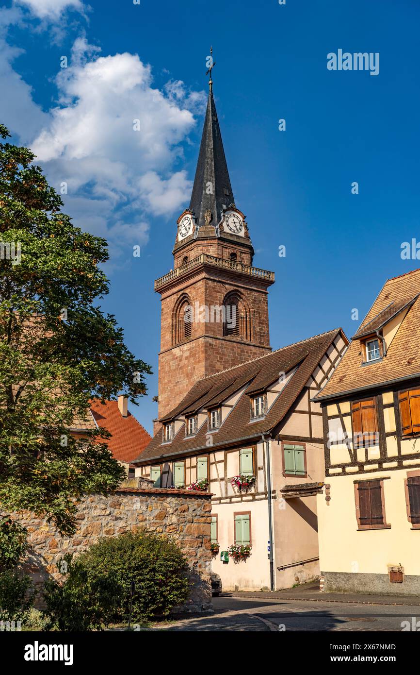 La Chiesa dell'assunzione o Notre-Dame de l'Assomption e le case a graticcio a Bergheim, Alsazia, Francia Foto Stock