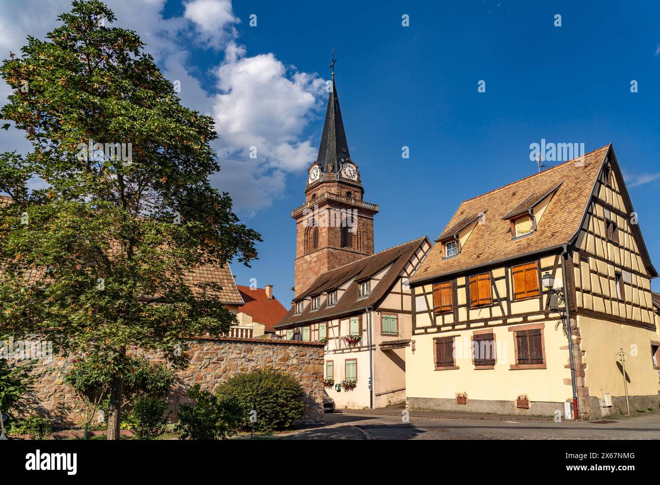La Chiesa dell'assunzione o Notre-Dame de l'Assomption e le case a graticcio a Bergheim, Alsazia, Francia Foto Stock