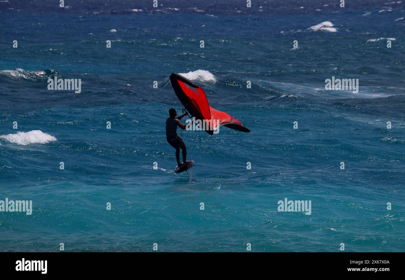 Surfista con un lamina d'aletta sulle onde del Mar dei Caraibi, Lac Cai, Bonaire, Paesi Bassi caraibici Foto Stock