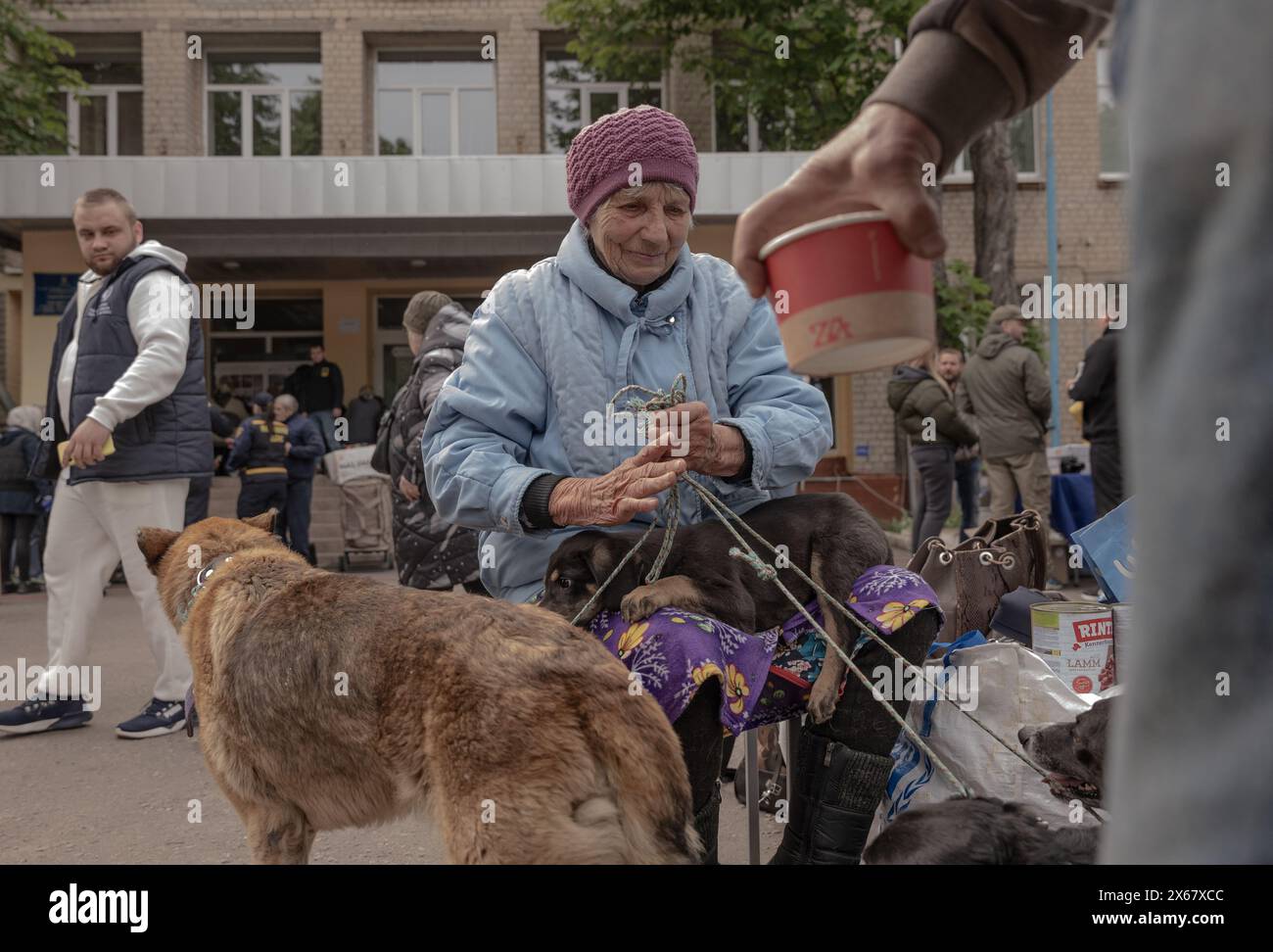 Charkiv, Ucraina. 13 maggio 2024: I civili che vivono a Vovchansk e nelle regioni circostanti vengono evacuati dalle loro case. Mentre la Russia tenta di reinvadere l'Ucraina settentrionale il 13 maggio 2024. (Credit Image: © Svet Jacqueline/ZUMA Press Wire) SOLO PER USO EDITORIALE! Non per USO commerciale! Crediti: ZUMA Press, Inc./Alamy Live News Foto Stock