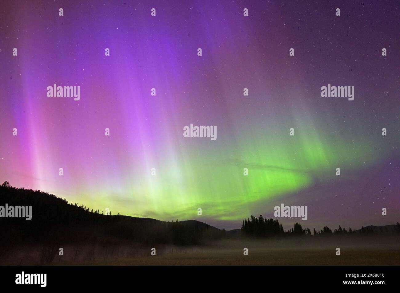 Aurora boreale sulla Yaak Valley l'11 maggio 2024. Contea di Lincoln, Montana nord-occidentale. (Foto di Randy Beacham) Foto Stock