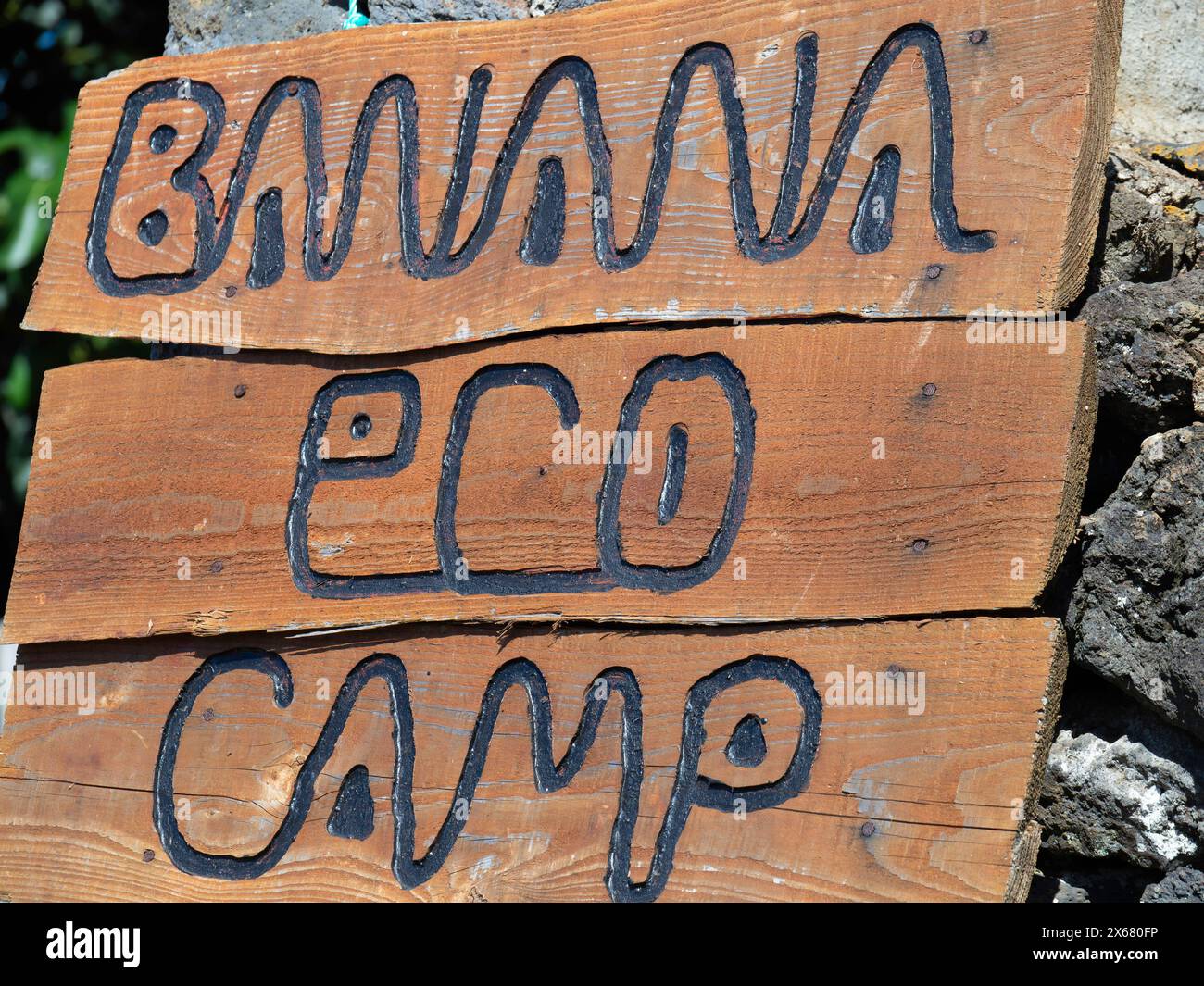 Agricoltura, agriturismo, Azzorre, Banana Eco-Camp, campeggio, piantagione di caffè, ecologico, ecologico, verde, all'aperto, Portogallo, tenda, Terceira Foto Stock