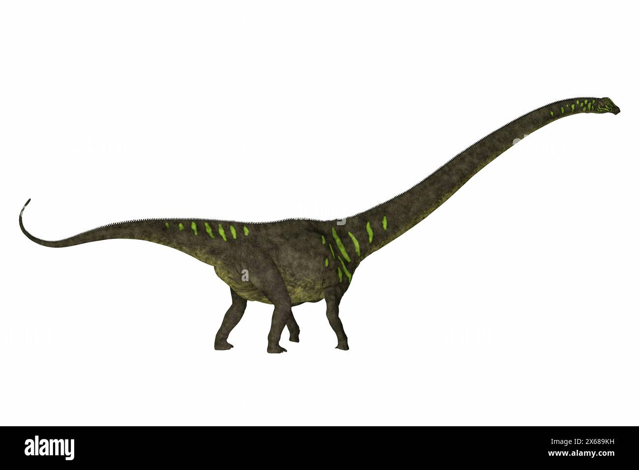 Mamenchisaurus era un impianto-eating sauropod dinosaur dalla fine del Giurassico della Cina. Foto Stock