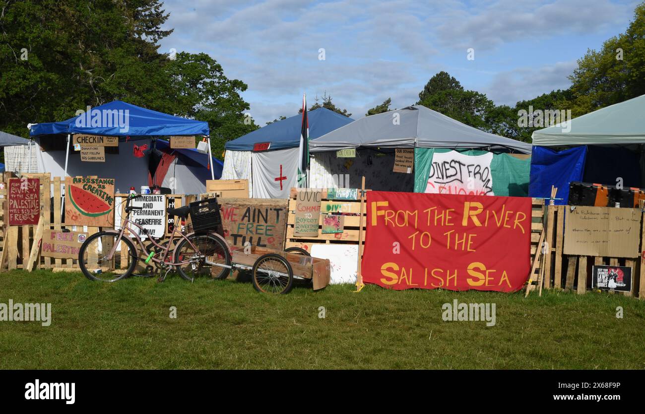 Saanich, Columbia Britannica, Canada, 13 maggio 2024 - i cartelli di un accampamento pro-Palestina sono raffigurati nel campus dell'Università di Victoria (UVic). Il mare di Salish si riferisce all'area oceanica intorno alla Columbia Britannica. Don Denton/Alamy Live News Foto Stock