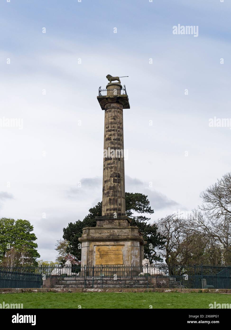 Omaggio alla famiglia Percy per la riduzione degli affitti la colonna Doric Tenantry di Alnwick, Northumberland, Regno Unito, è alta 25 metri. Foto Stock