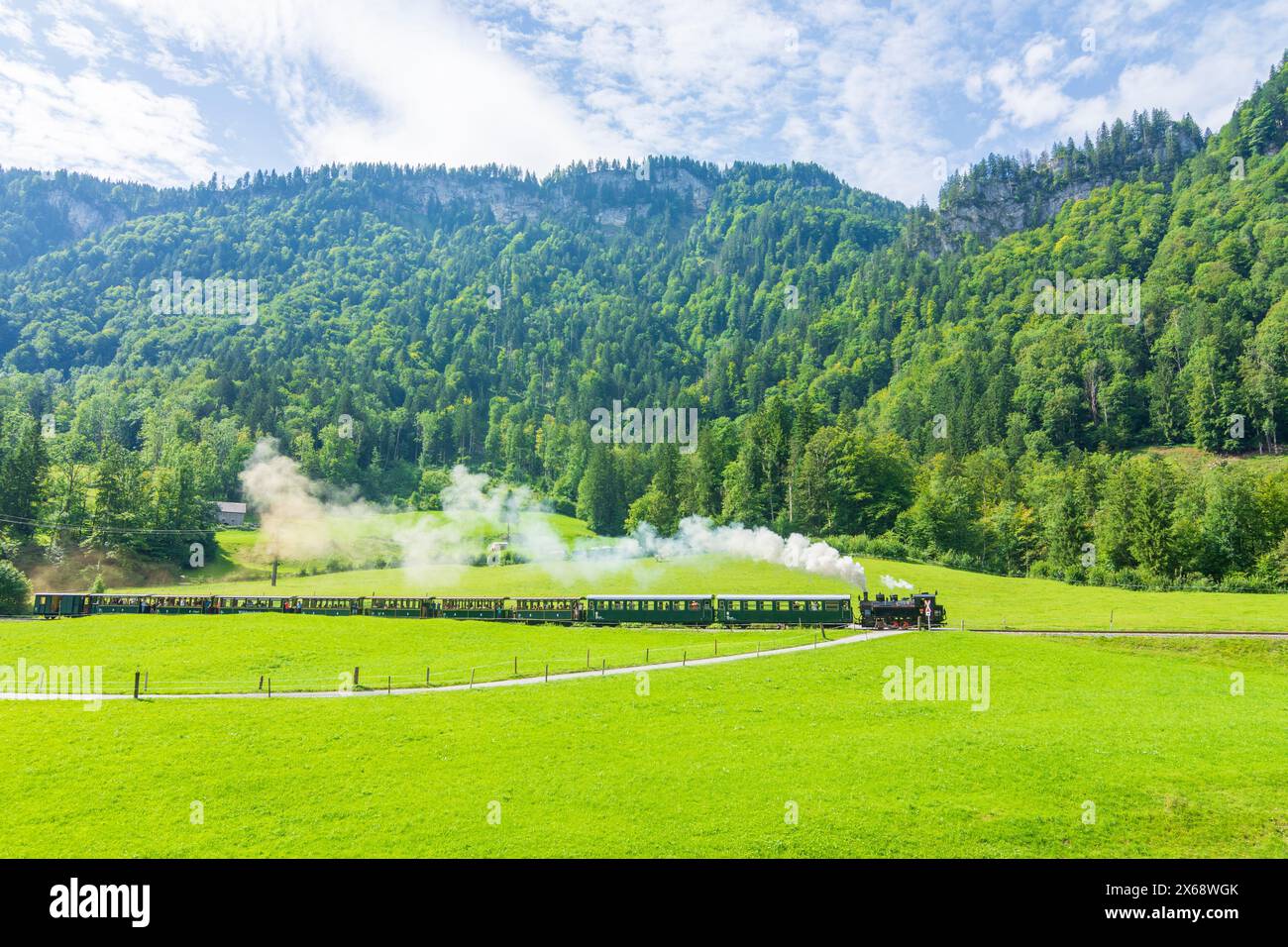 Schwarzenberg, treno a vapore sul ponte Sporenegg della ferrovia forestale di Bregenz (Bregenzerwaldbahn, Wälderbahn o Wälderbähnle), ferrovia a scartamento ridotto con scartamento di 760 mm, il cosiddetto scartamento bosniaco, fiume Bregenzer ACH a Bregenzerwald (Foresta di Bregenz), Vorarlberg, Austria Foto Stock