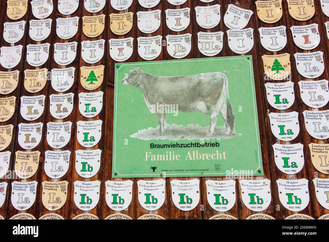 Schoppernau, porta fienile con riconoscimenti per l'eccellente qualità del latte delle vacche a Braunviehzuchtbetrieb (allevamento di bovini bruni) a Bregenzerwald (foresta di Bregenz), Vorarlberg, Austria Foto Stock