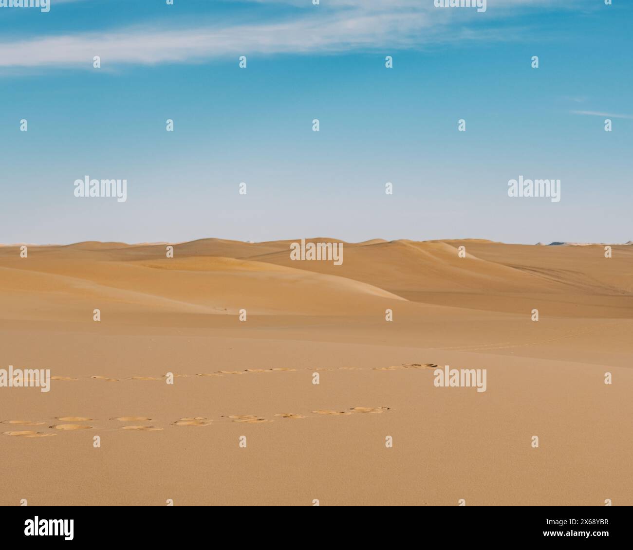 Ampie dune di sabbia sotto il cielo azzurro, Sahara vicino all'oasi di Siwa, Egitto Foto Stock