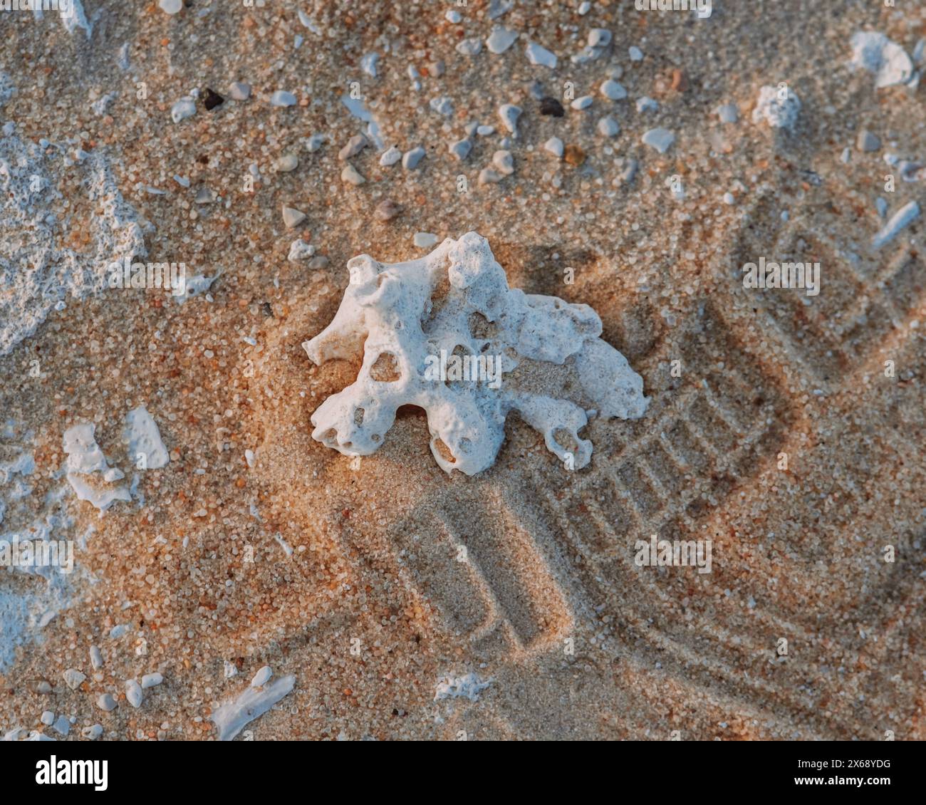 Primo piano di una formazione rocciosa unica su un terreno sabbioso con impronte, Sahara vicino all'oasi di Siwa, Egitto Foto Stock