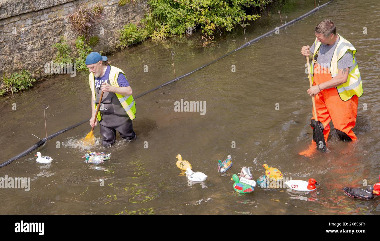 Due persone in giubbotti ad alta visibilità che raccolgono anatre di plastica durante un evento all'aperto sul fiume Marden Foto Stock