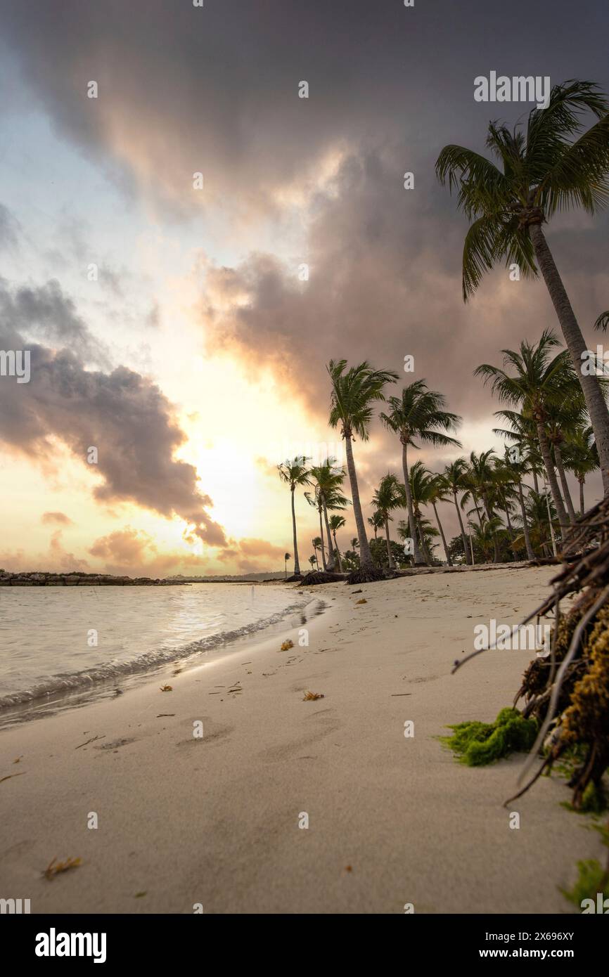 Spiaggia da sogno caraibica con palme, spiaggia di sabbia bianca e acque turchesi e cristalline nel mare. Baia poco profonda al tramonto. Plage de Sainte Anne, grande Terre, Guadalupa, Antille francesi Foto Stock