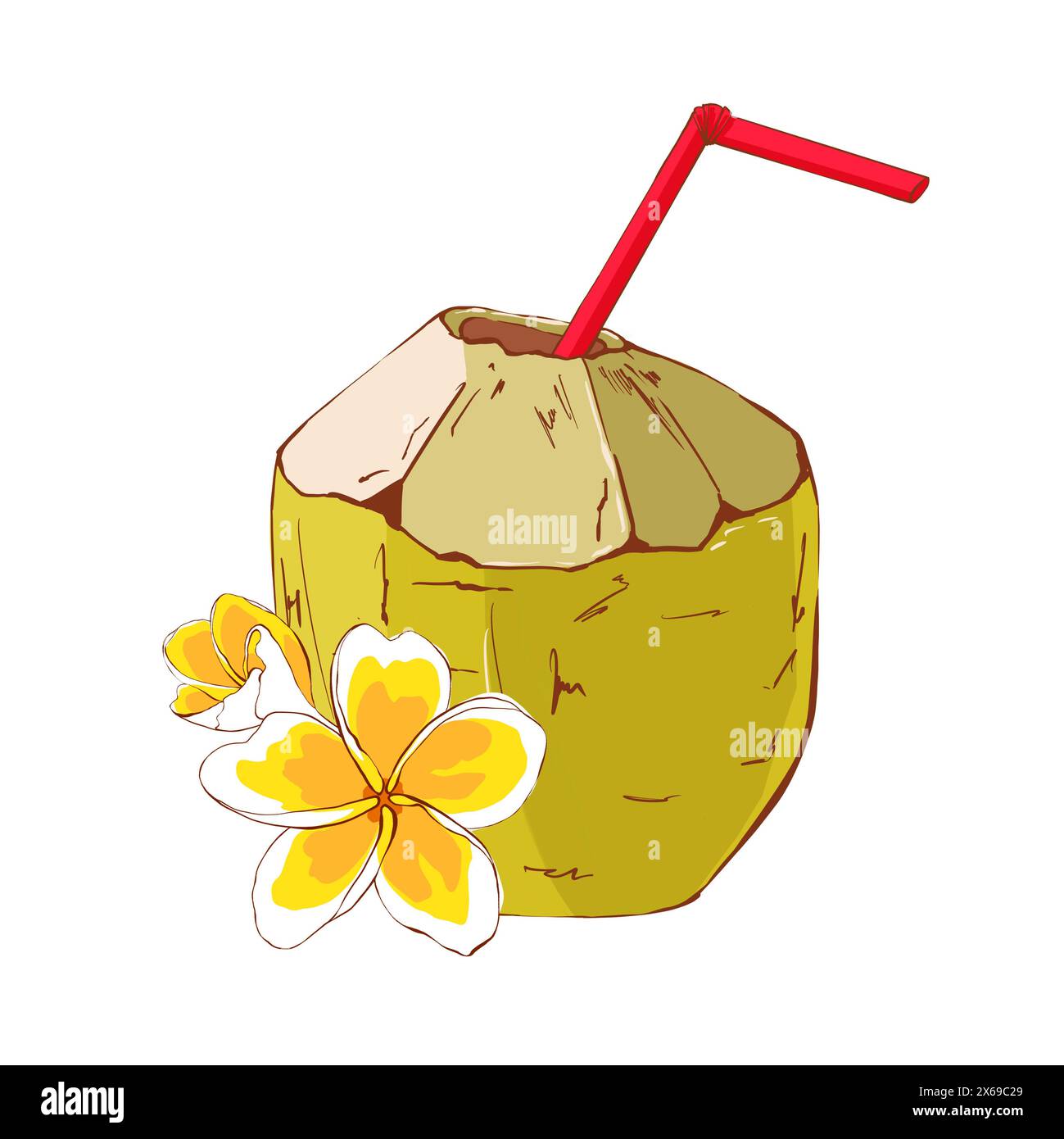 Cocktail di cocco decorato con fiori di plumeria gialli. Bevanda tropicale fresca. Illustrazione disegnata a mano in stile piatto isolata su sfondo bianco. Foto Stock