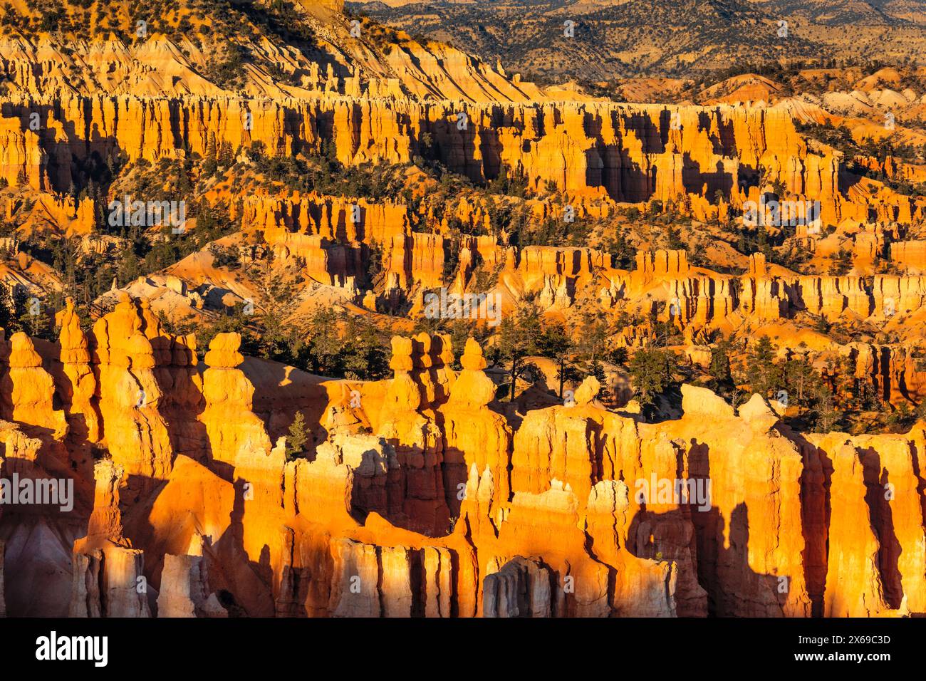 Bryce Amphitheatre al tramonto, Bryce Canyon National Park, Colorado Plateau, Utah, Stati Uniti, Stati Uniti Foto Stock