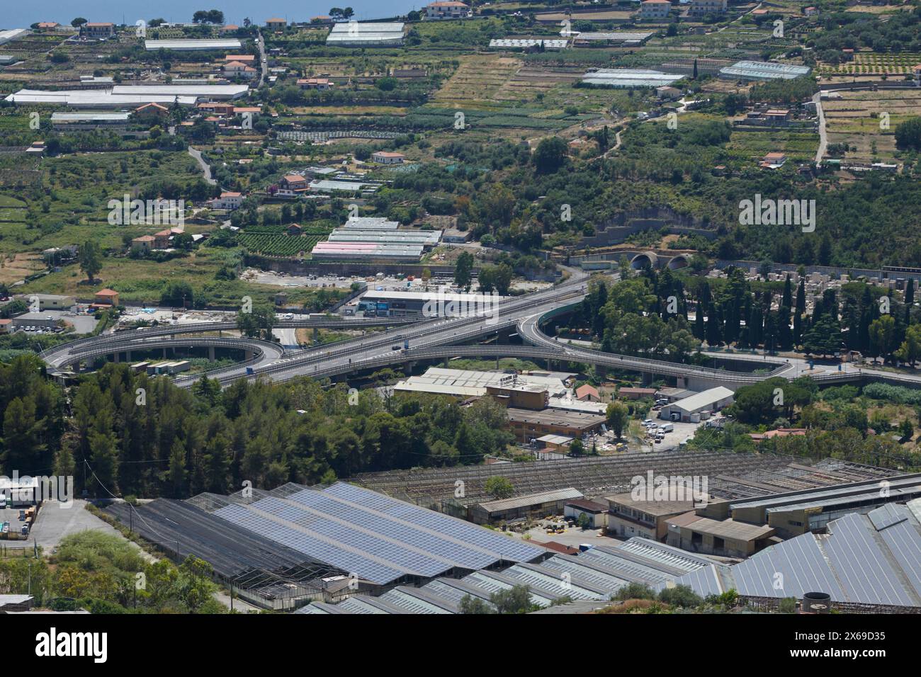 Culture floreali tagliate intorno a Sanremo, Liguria, Italia Foto Stock