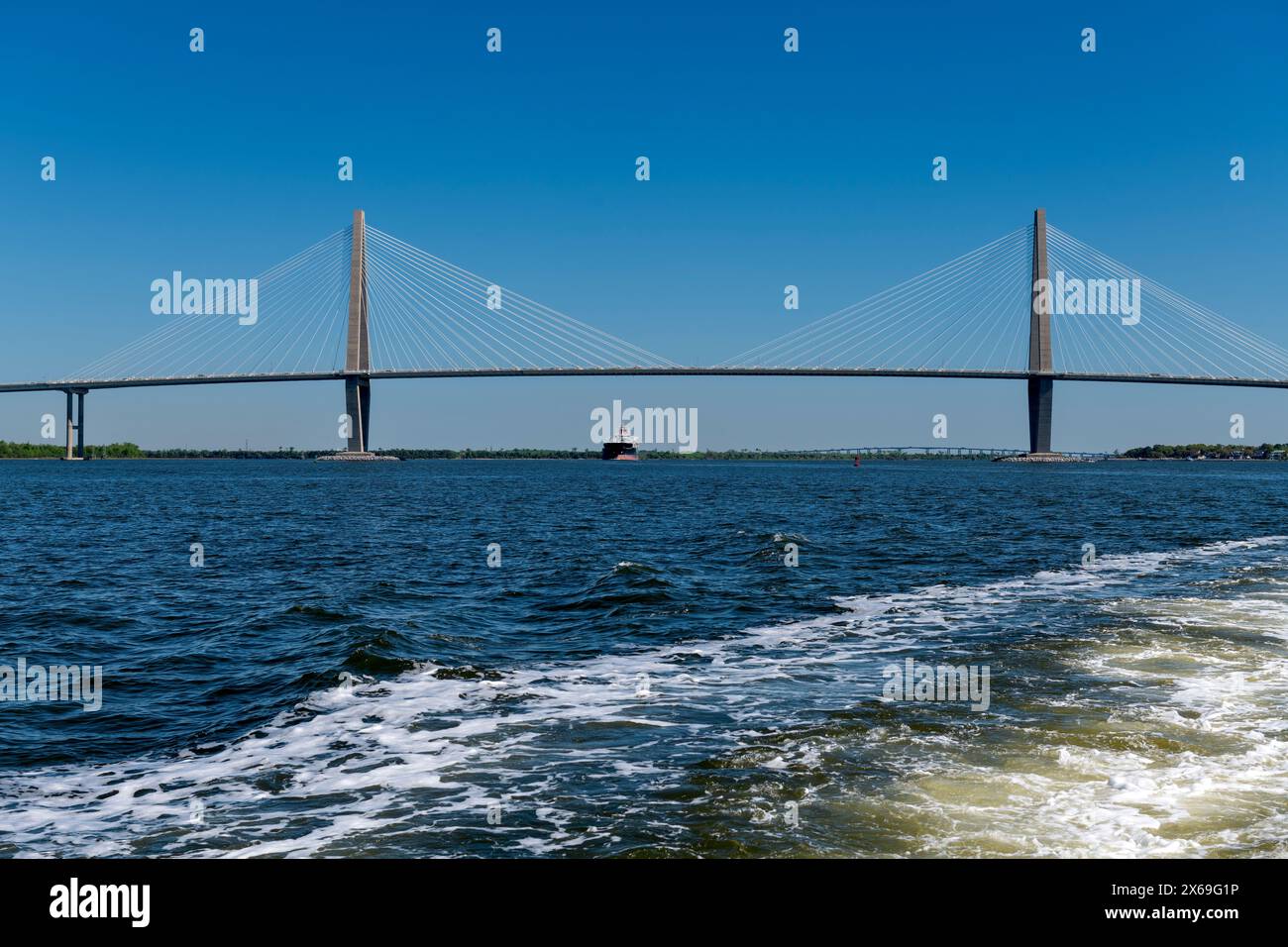 Arthur Ravenel Bridge, noto anche come Cooper Bridge, sul porto di Charleston, South Carolina. Foto Stock