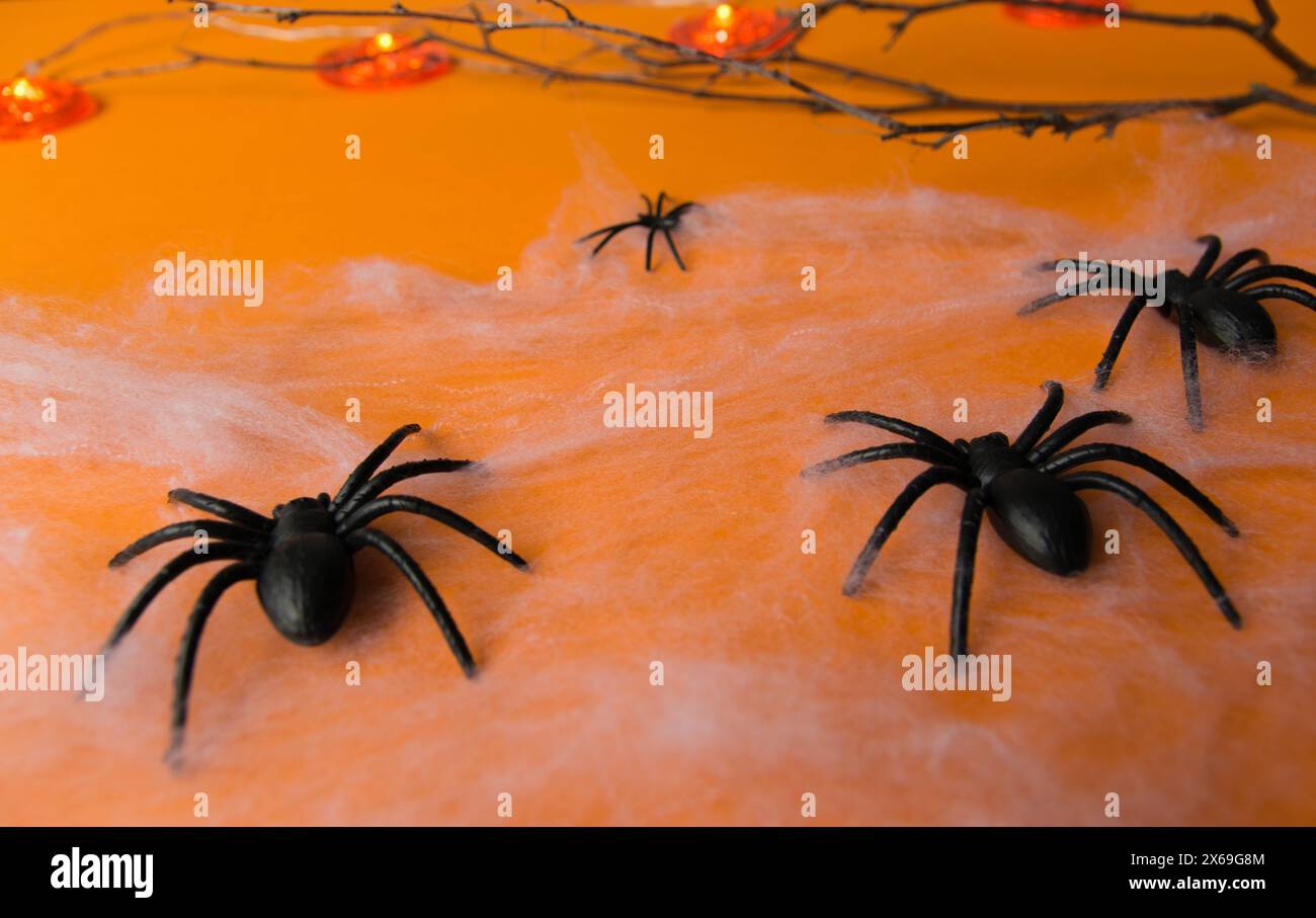 Decorazioni di Halloween, zucche, ragnatela, spine su sfondo arancione. Foto Stock