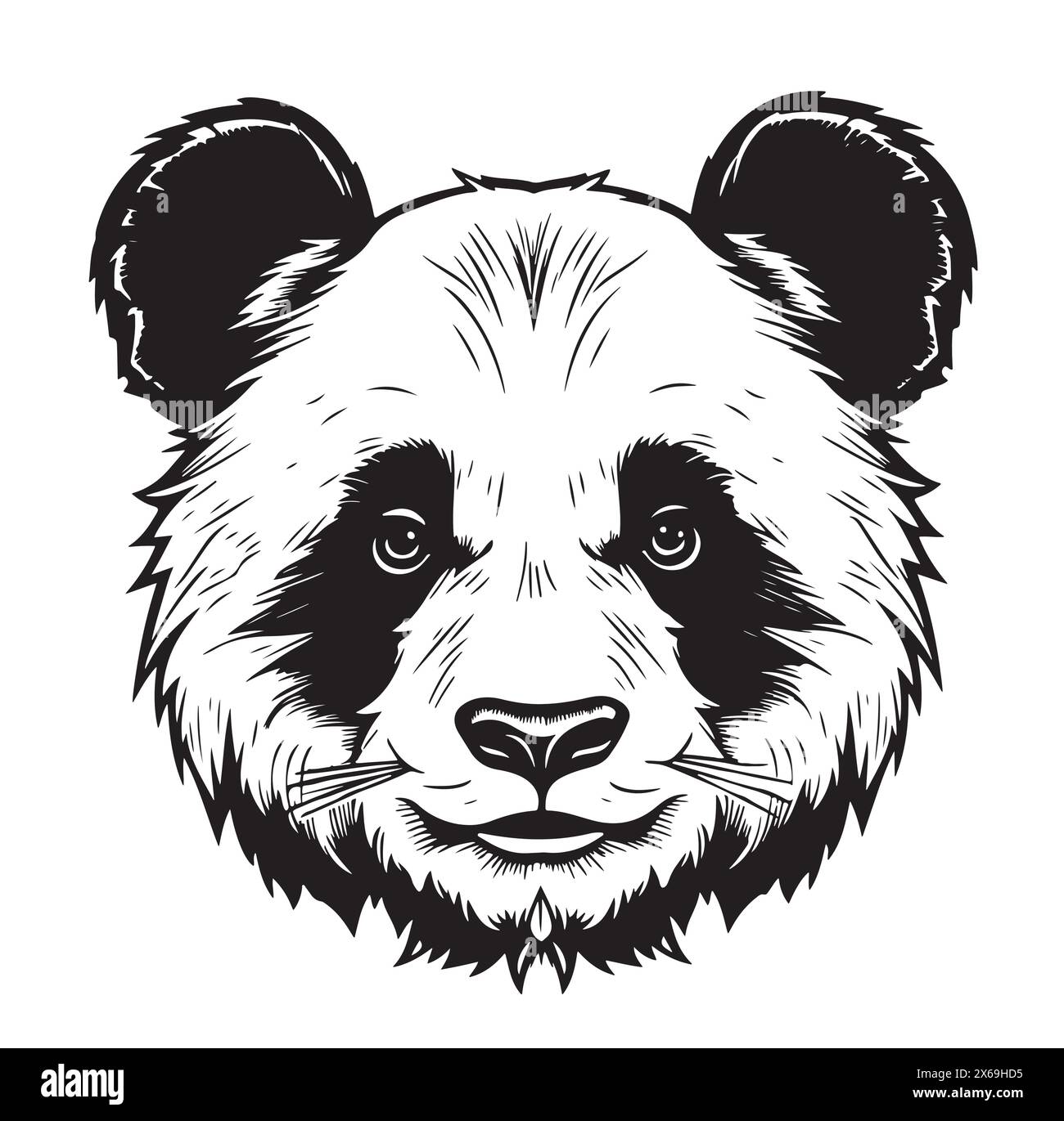 La testa Panda ha un aspetto simmetrico a destra, disegno in bianco e nero con grafica vettoriale di schizzo Illustrazione Vettoriale