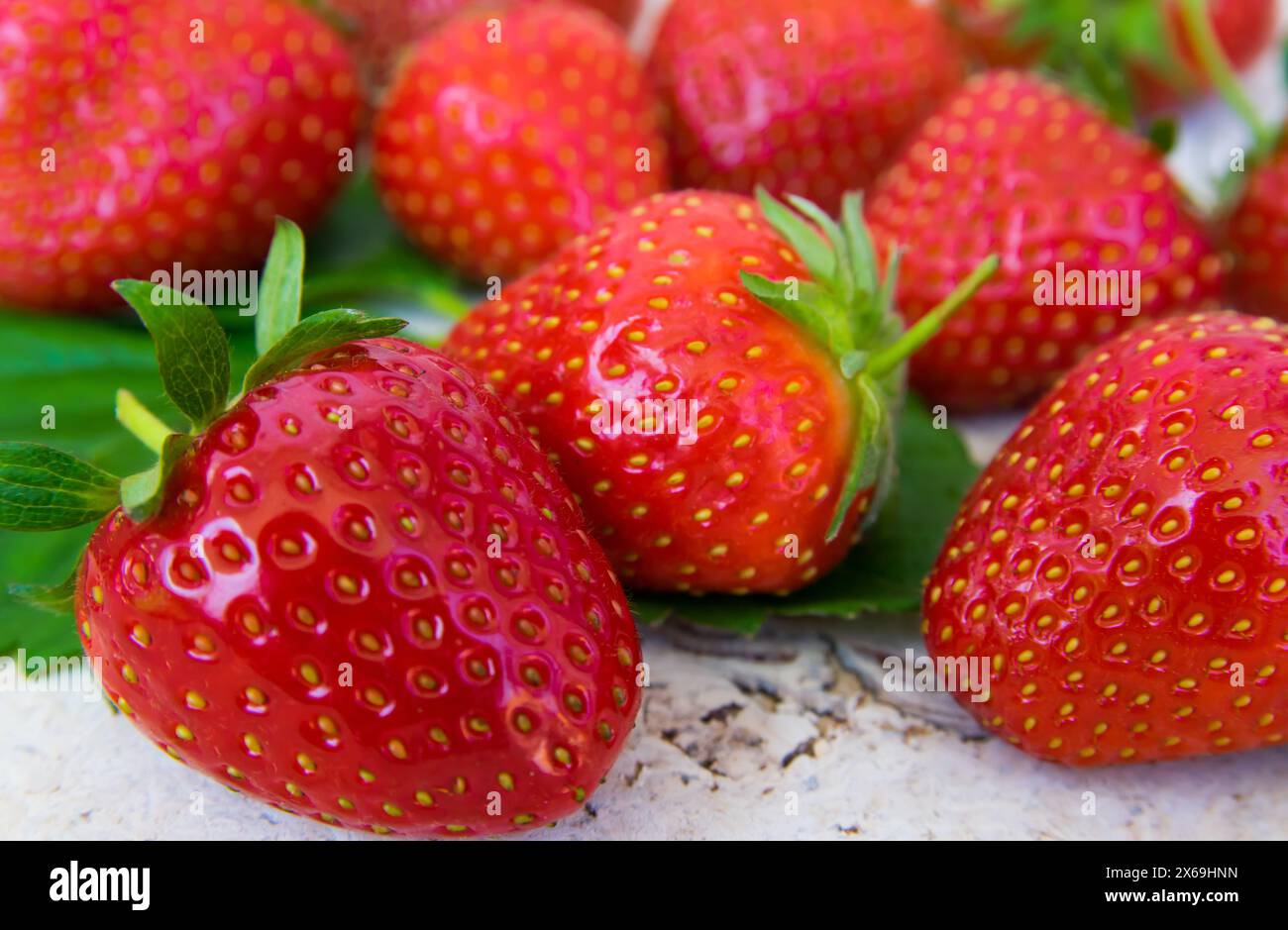 Fragole fresche con foglie verdi su fondo bianco rustico. Fondo di frutta. Foto Stock