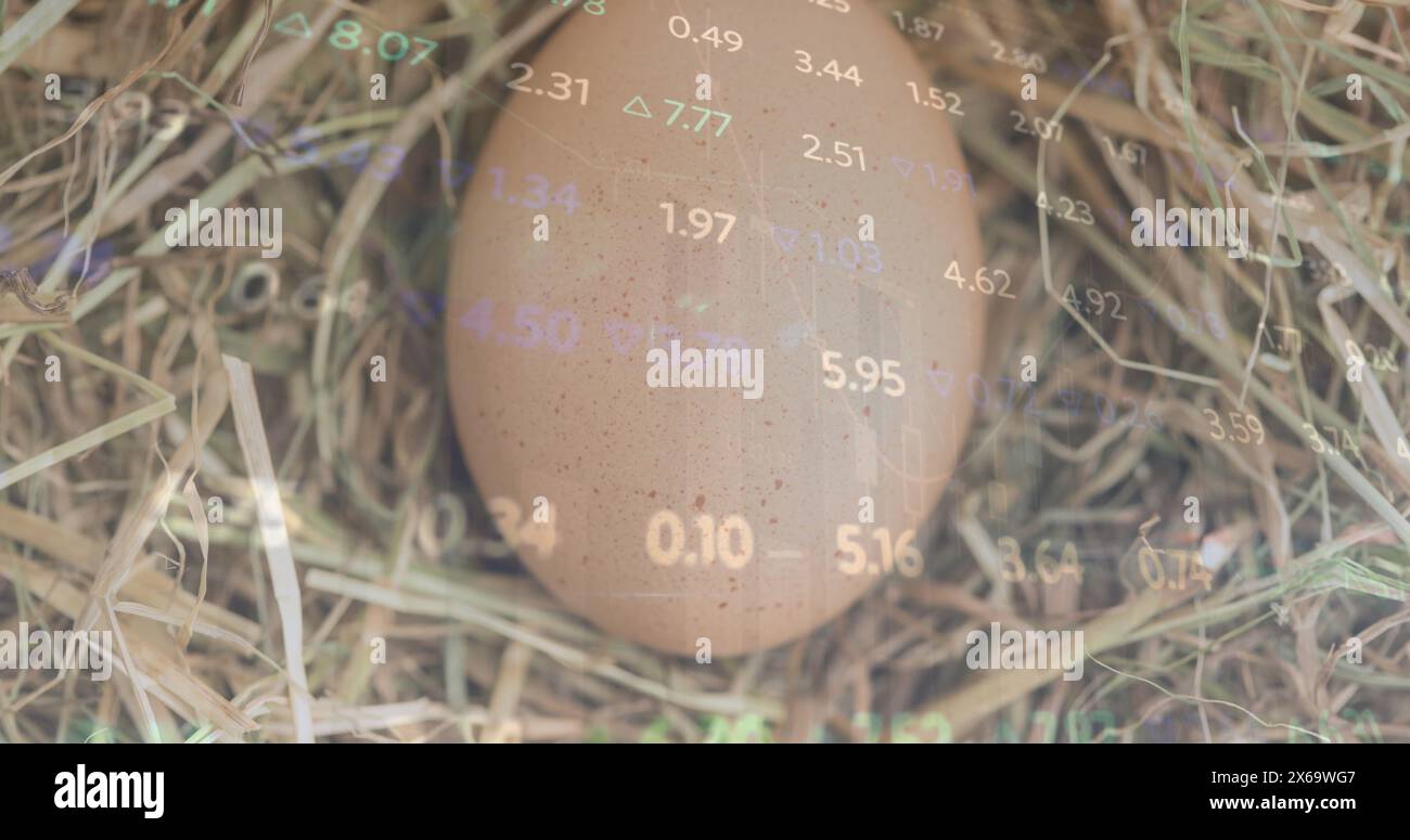 Immagine che mostra il cambiamento di numeri e grafici che si muovono sul primo piano dell'uovo marrone nel nido Foto Stock